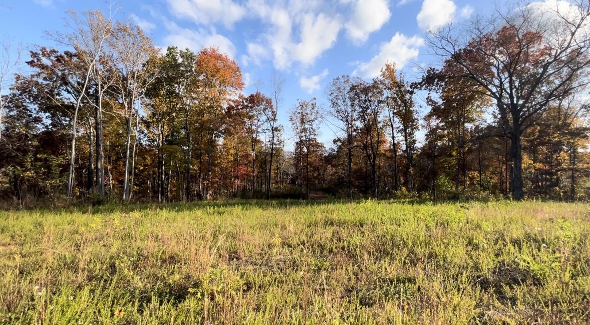 2 Lake Adger Road Mill Spring, NC 28756 - Photo 5 of 6