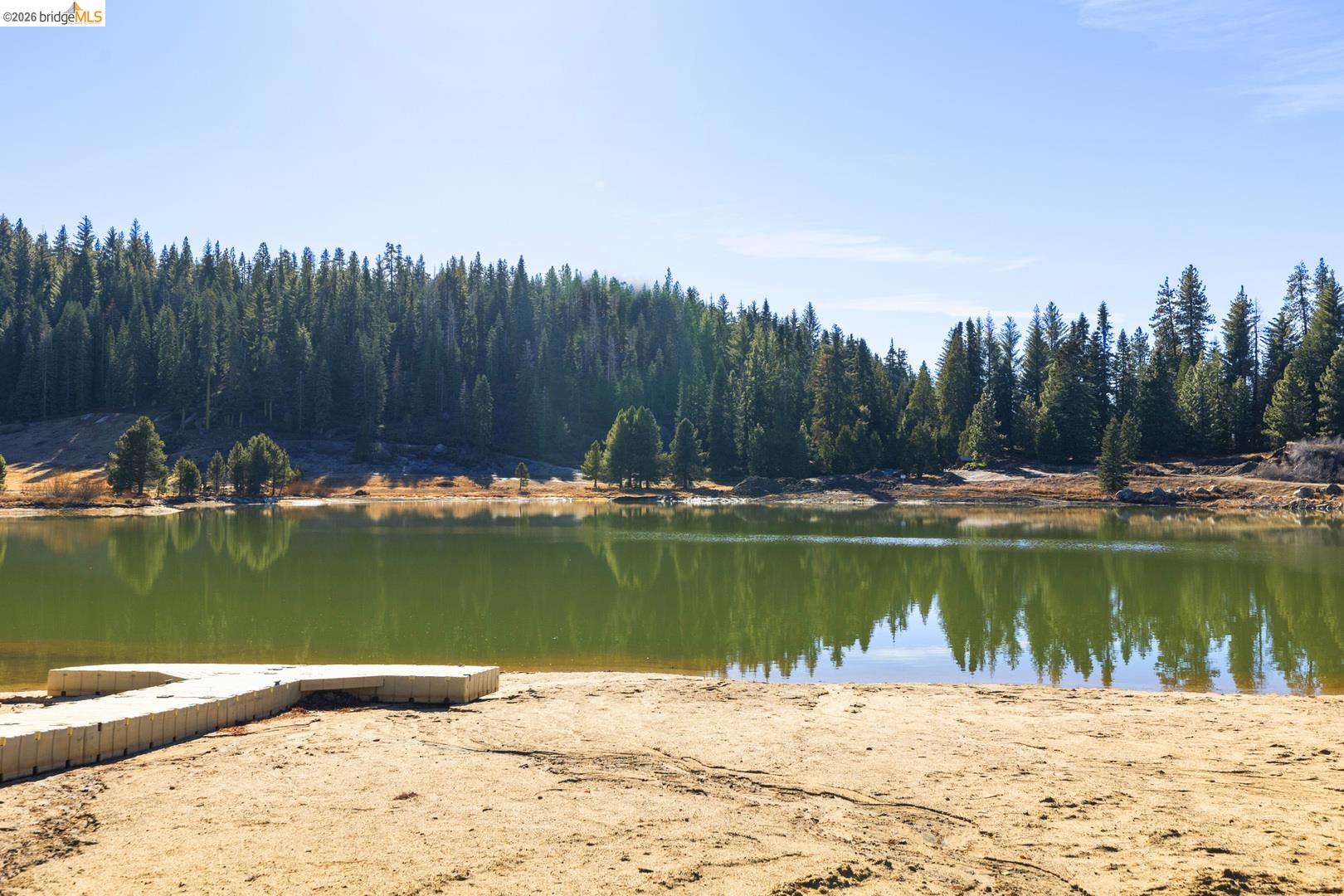 33840 Upper Leland Road, Unit 25A Pinecrest, CA 95364 - Photo 38 of 41 water view with a heavily wooded area