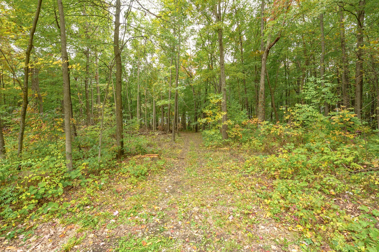 1280 Athens Road Sherwood, MI 49089 - Photo 40 of 44