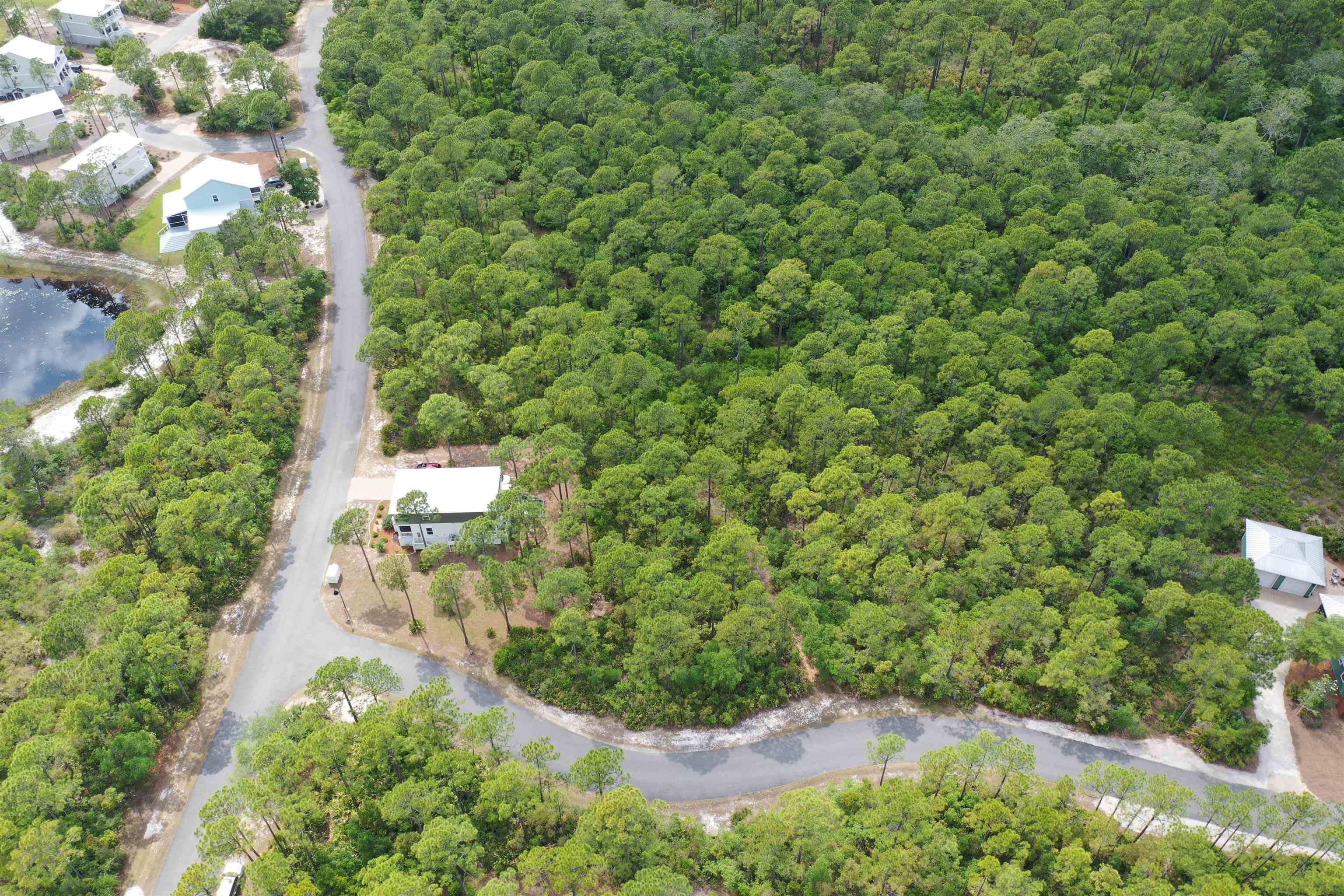 133 Fishhook Way Sopchoppy, FL 32358 - Photo 13 of 28