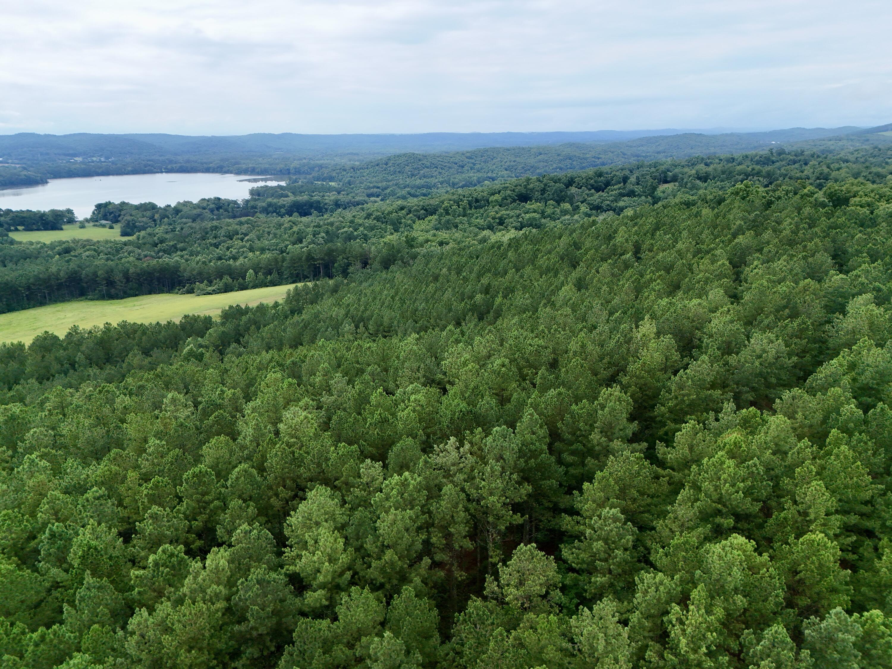 847 Eads Bluff Road Northwest Georgetown, TN 37336 - Photo 18 of 37 D81CB6B6-F839-4502-83E8-F806E328D65B_1_2