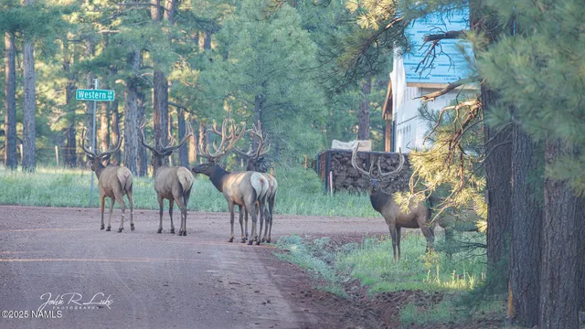 $750,000 | 867 Crestview Drive, Mormon Lake, AZ 86038