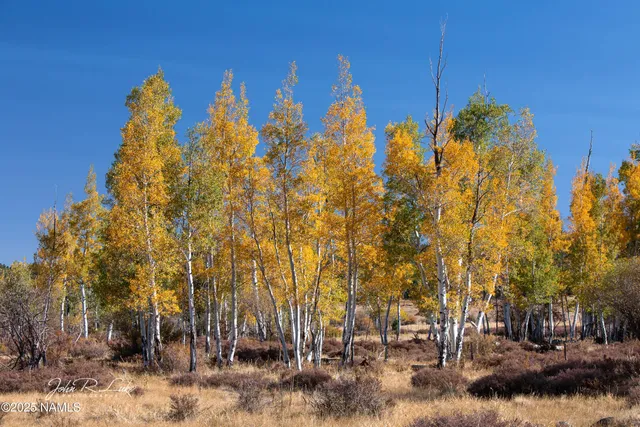 $750,000 | 867 Crestview Drive, Mormon Lake, AZ 86038