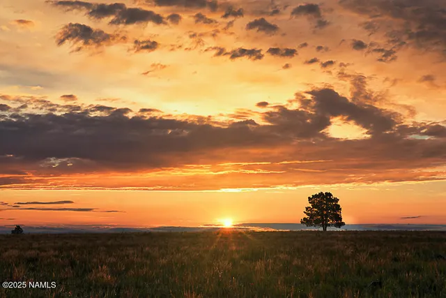 $750,000 | 867 Crestview Drive, Mormon Lake, AZ 86038