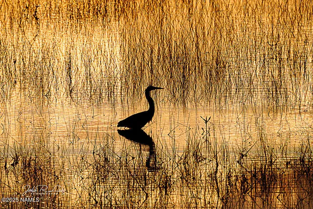 $750,000 | 867 Crestview Drive, Mormon Lake, AZ 86038