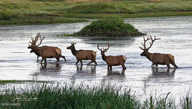 $750,000 | 867 Crestview Drive, Mormon Lake, AZ 86038