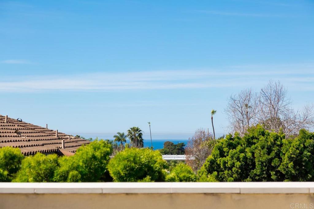 1010 Scarlet Way Encinitas, CA 92024 - Photo 11 of 38