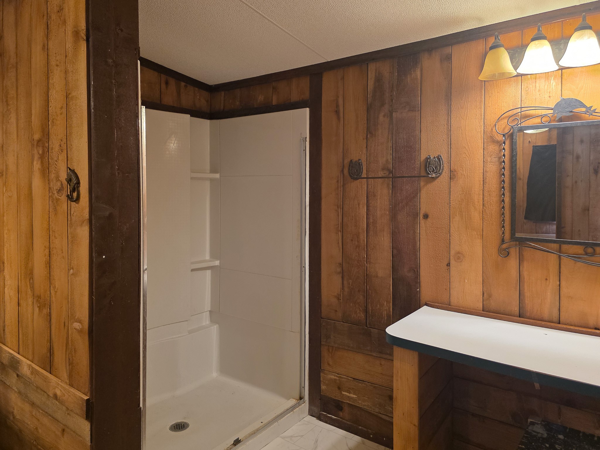 344 Holmes Road Onalaska, TX 77360 - Photo 20 of 25 309 Holmes stand up shower.