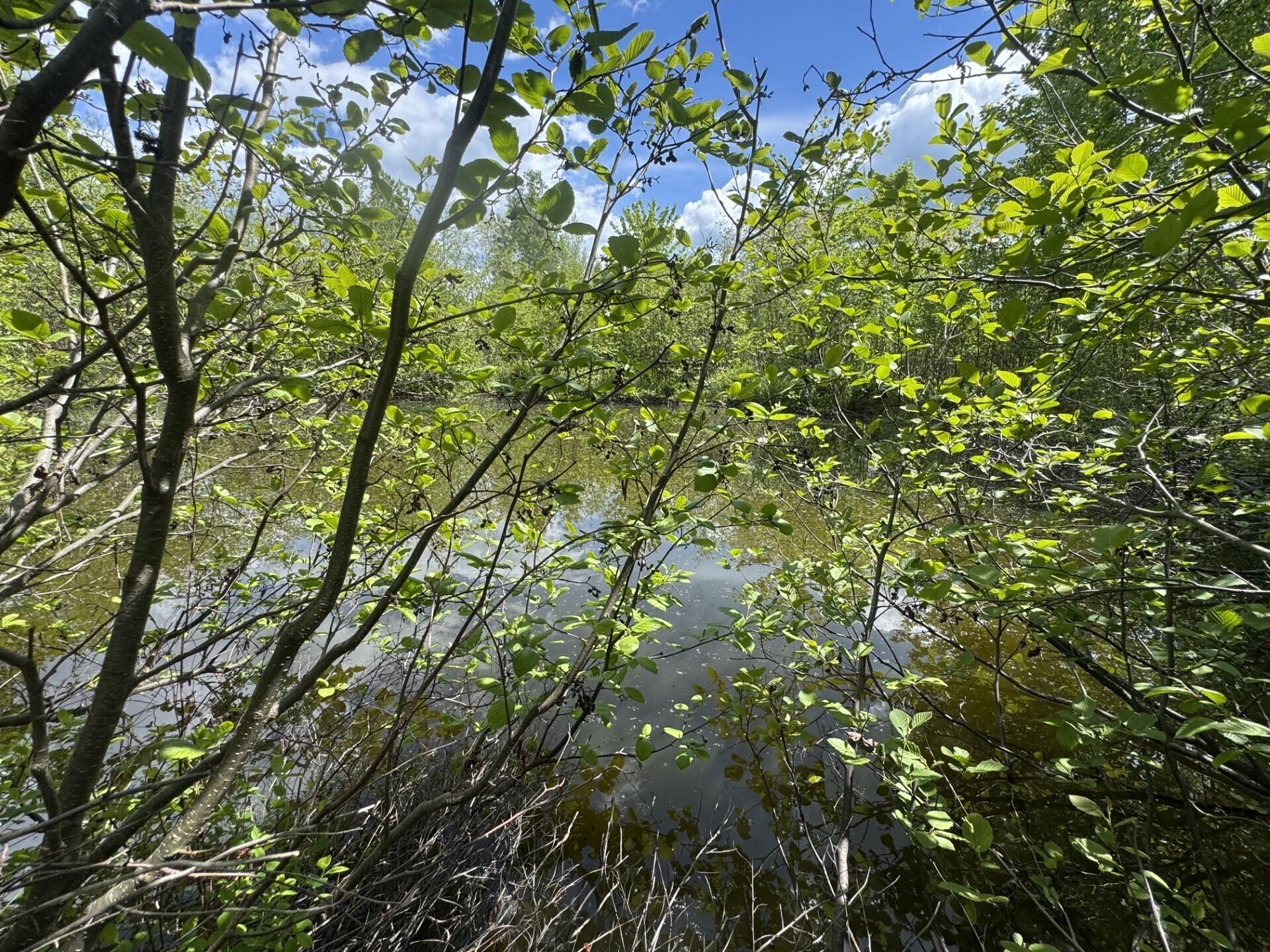 328 Clark Road Merrill, ME 04780 - Photo 40 of 55 East Pond (328 Clark Road) I