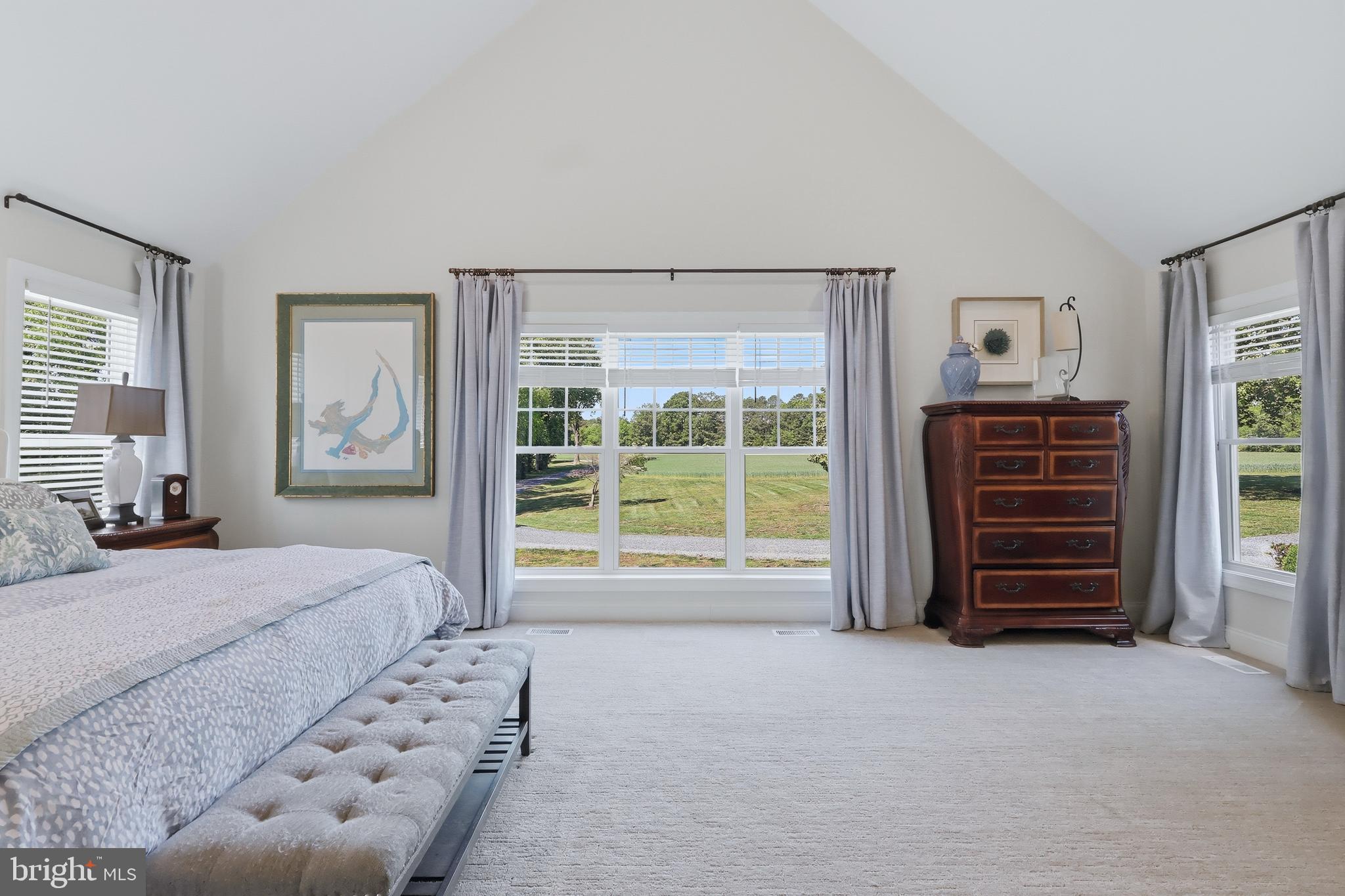 38980 Hodges Road Avenue, MD 20609 - Photo 56 of 98 1st Floor Primary suite with Cathedral ceilings