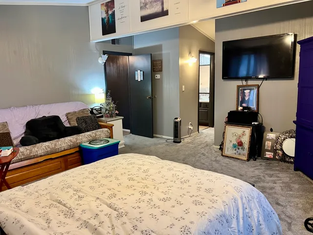 a bed room with a bed and a television