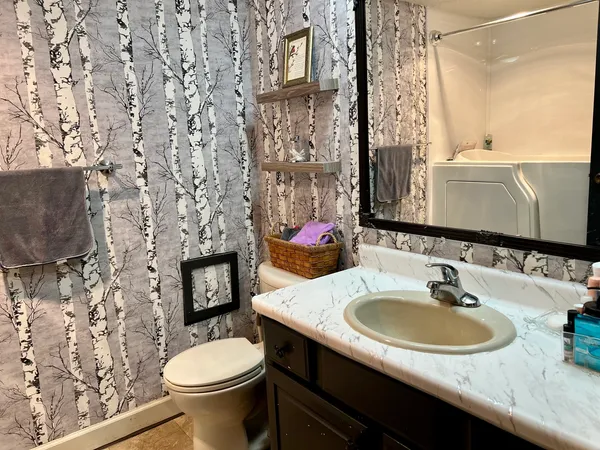 a bathroom with a sink and a toilet