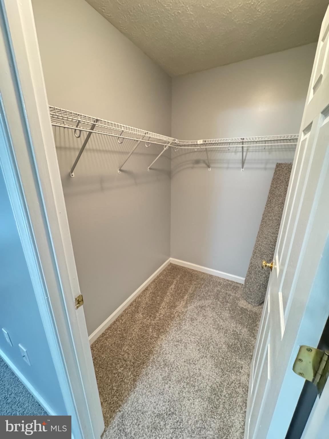 34 Stuart Court Strasburg, VA 22657 - Photo 41 of 54 a view of walk in closet with empty racks