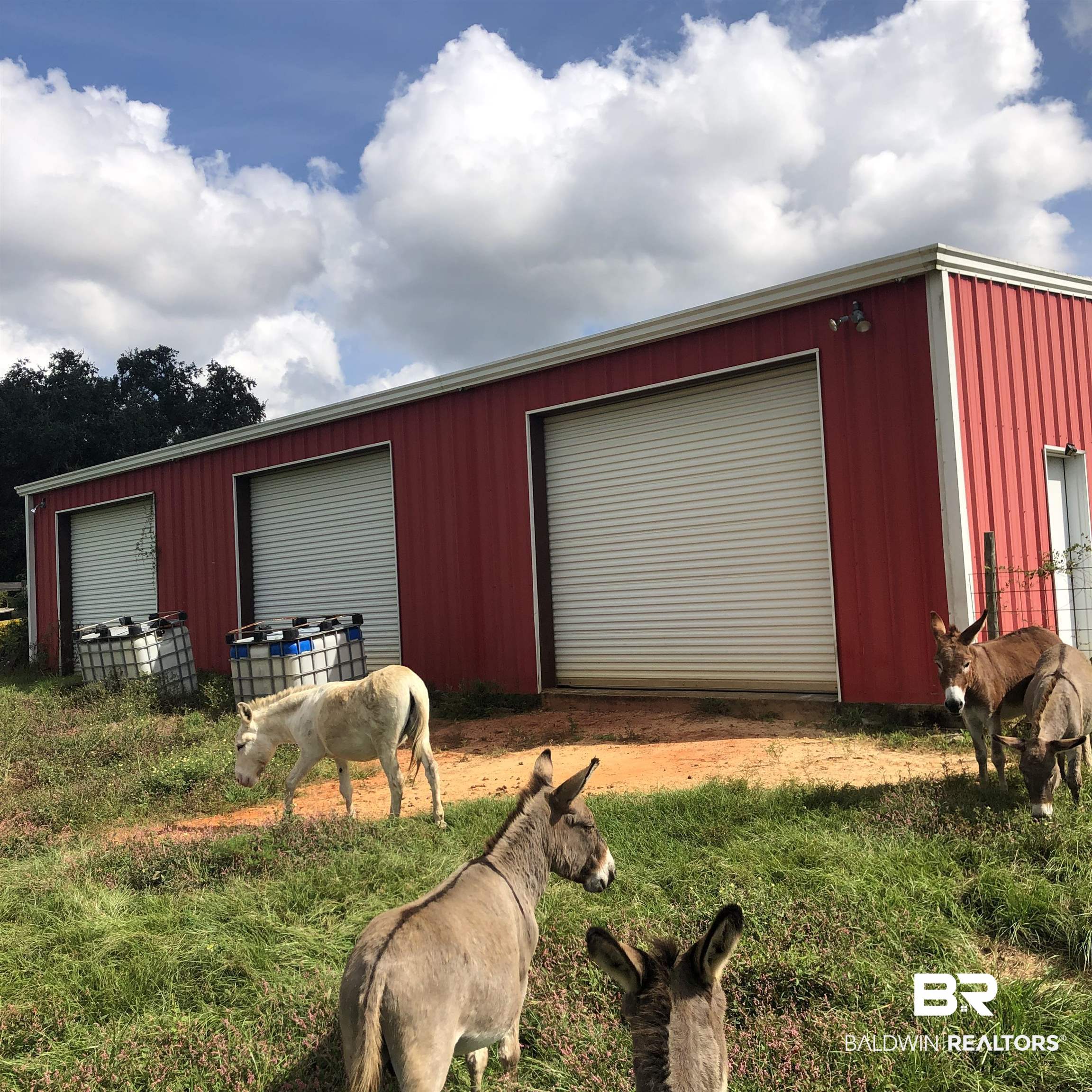 10599 Rhett McConnell Road Theodore, AL 36582 - Photo 11 of 18