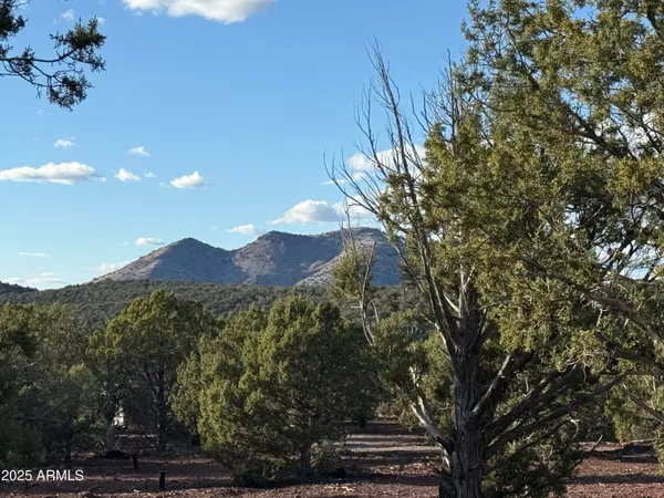 $220,500 | 17375 Beale Wagon Road, Unit 458 AND 457, Williams, AZ 86046