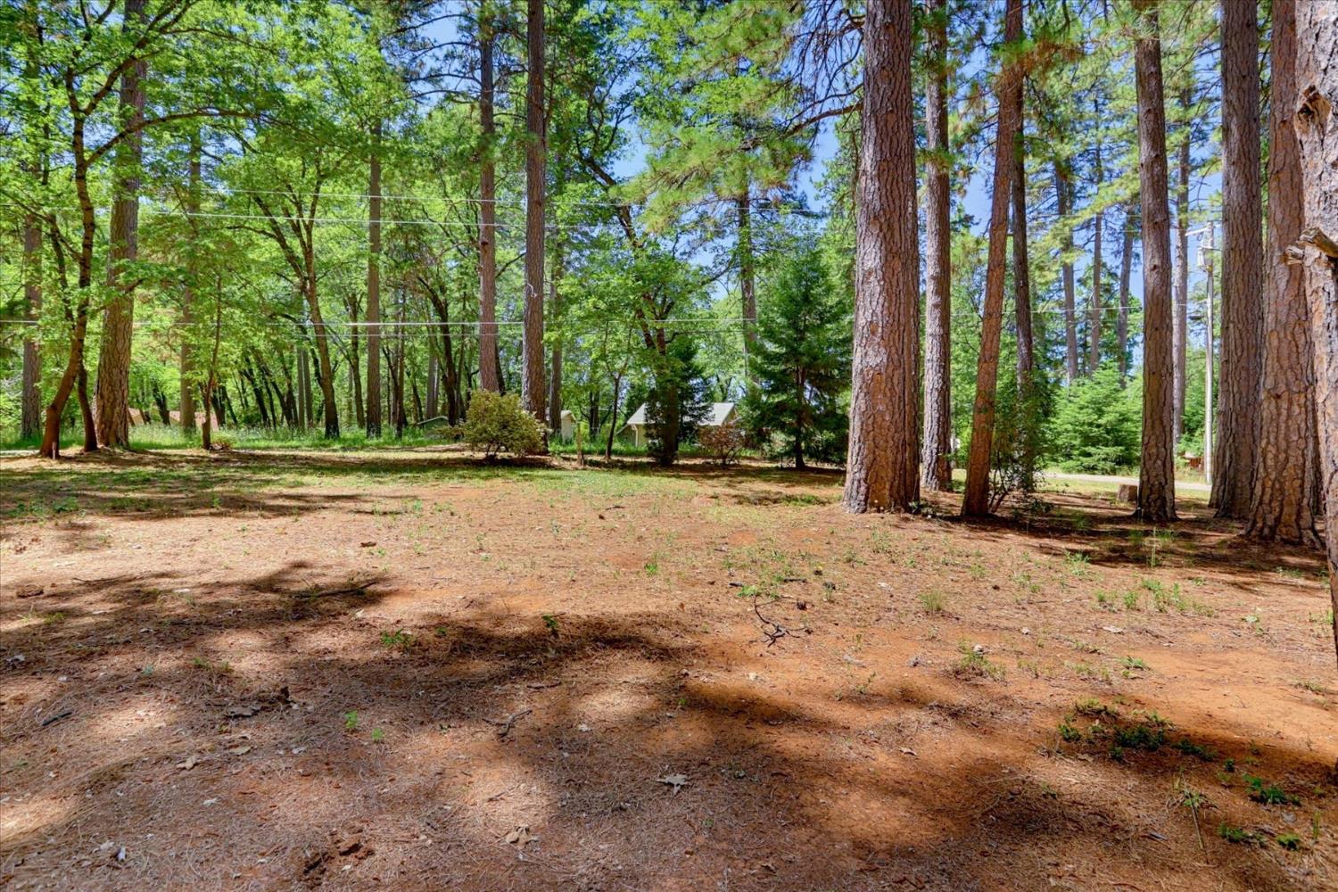 11575 Shockley Road Grass Valley, CA 95945 - Photo 75 of 92