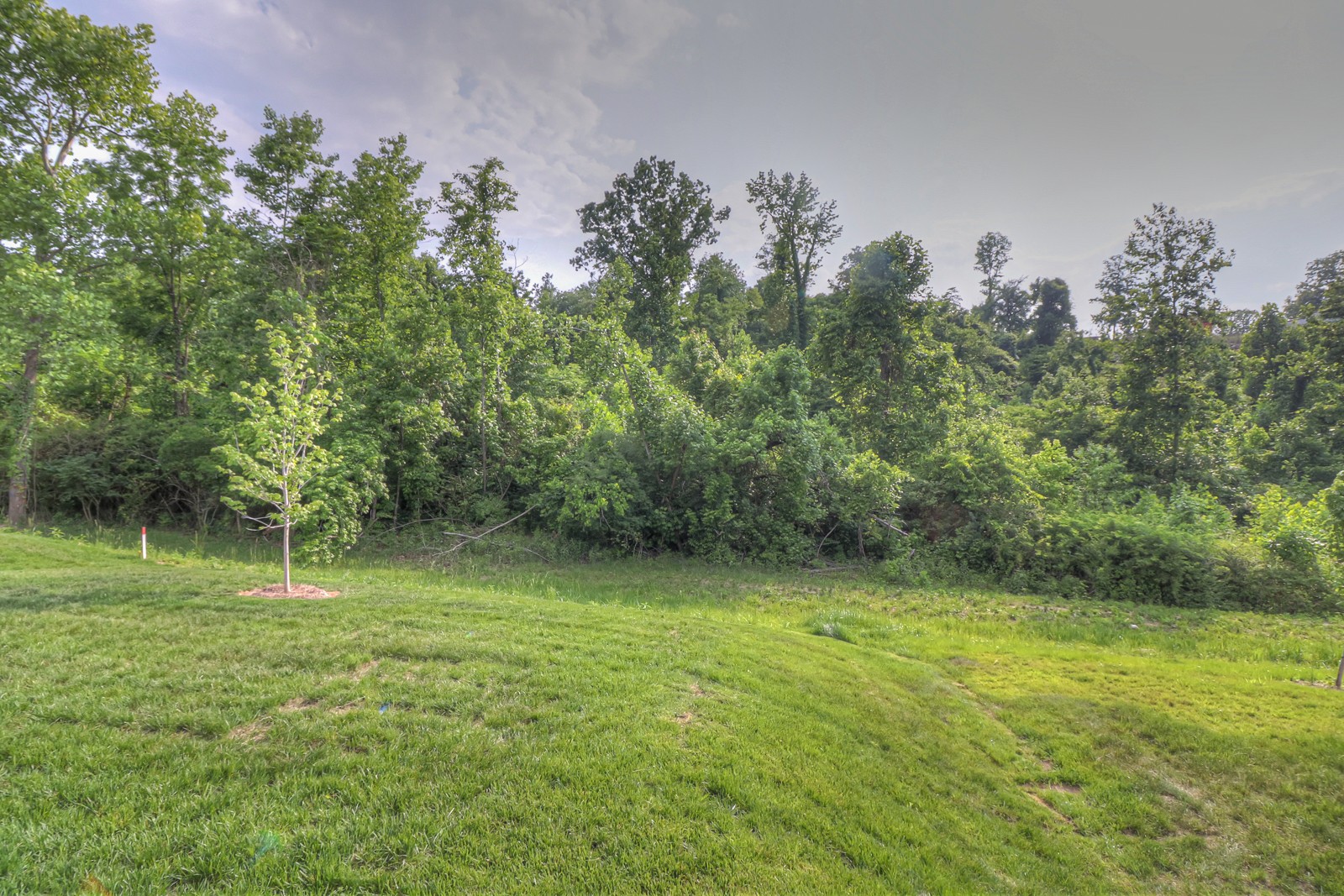 7429 Blue Gable Road Hermitage, TN 37076 - Photo 41 of 48 Gallery Image 41