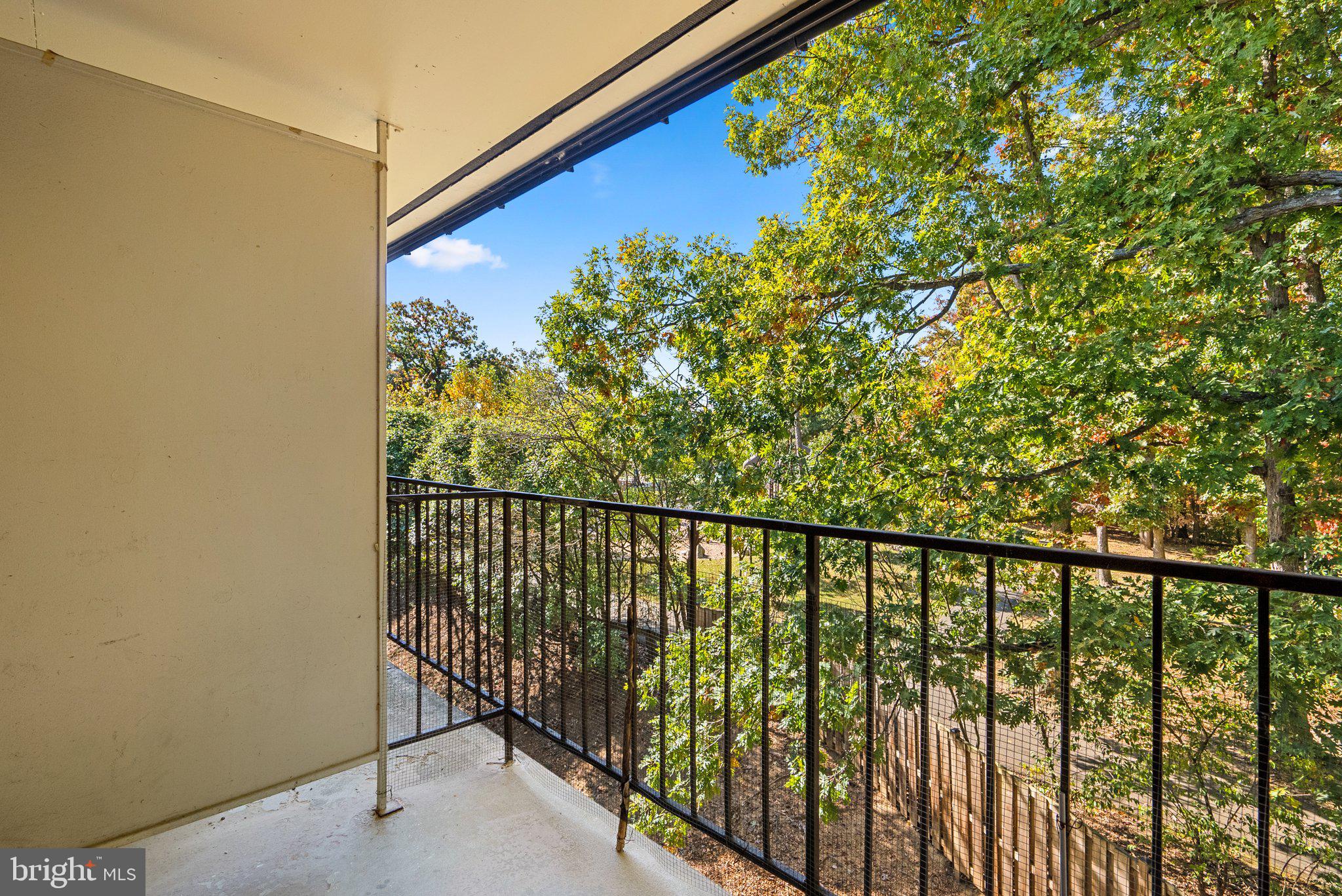 5075 7th Road South, Unit 202 Arlington, VA 22204 - Photo 22 of 23 Enjoy leafy wooded views!