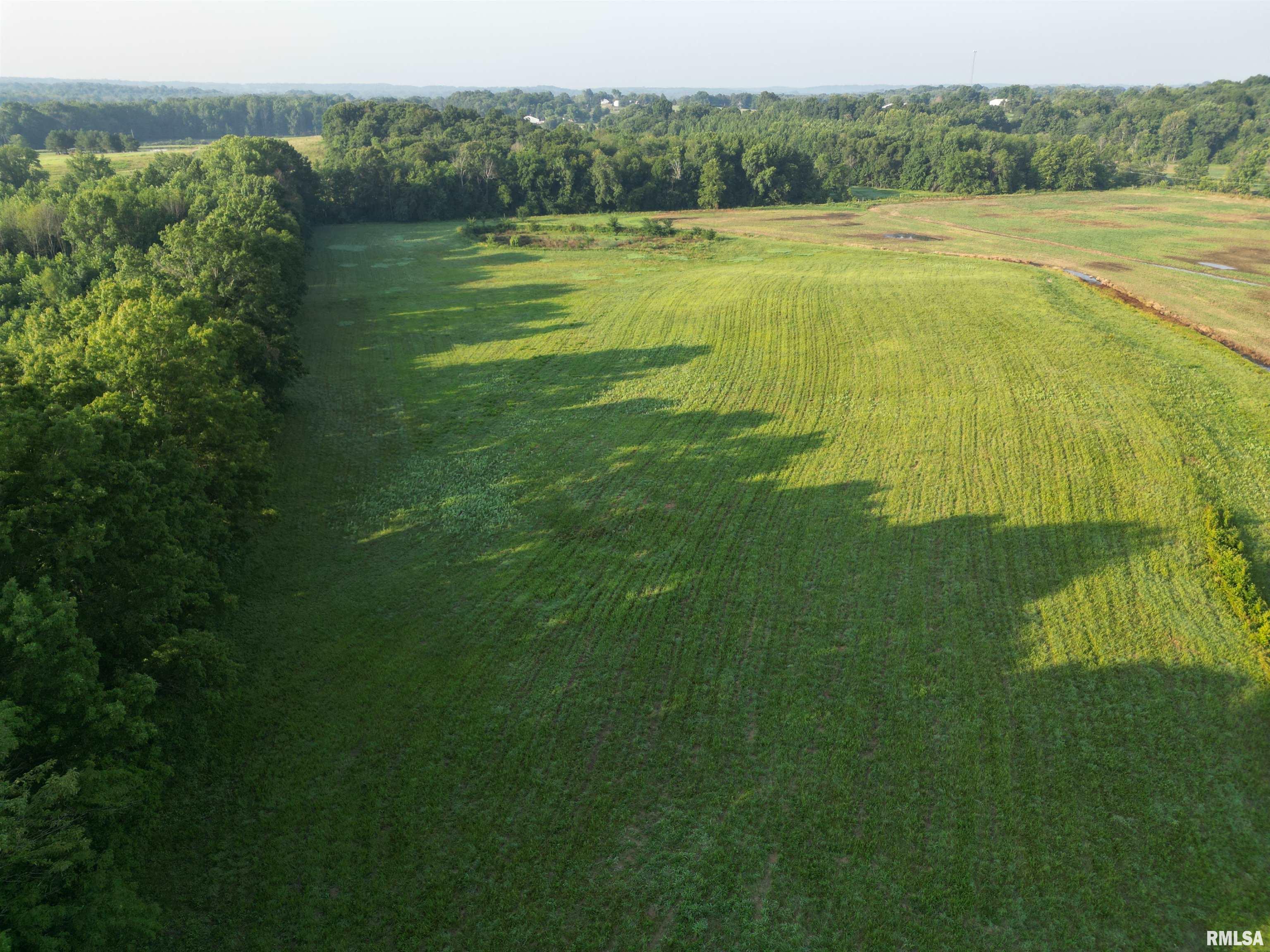 0 Old Bloomfield Road Vienna, IL 62995 - Photo 11 of 51