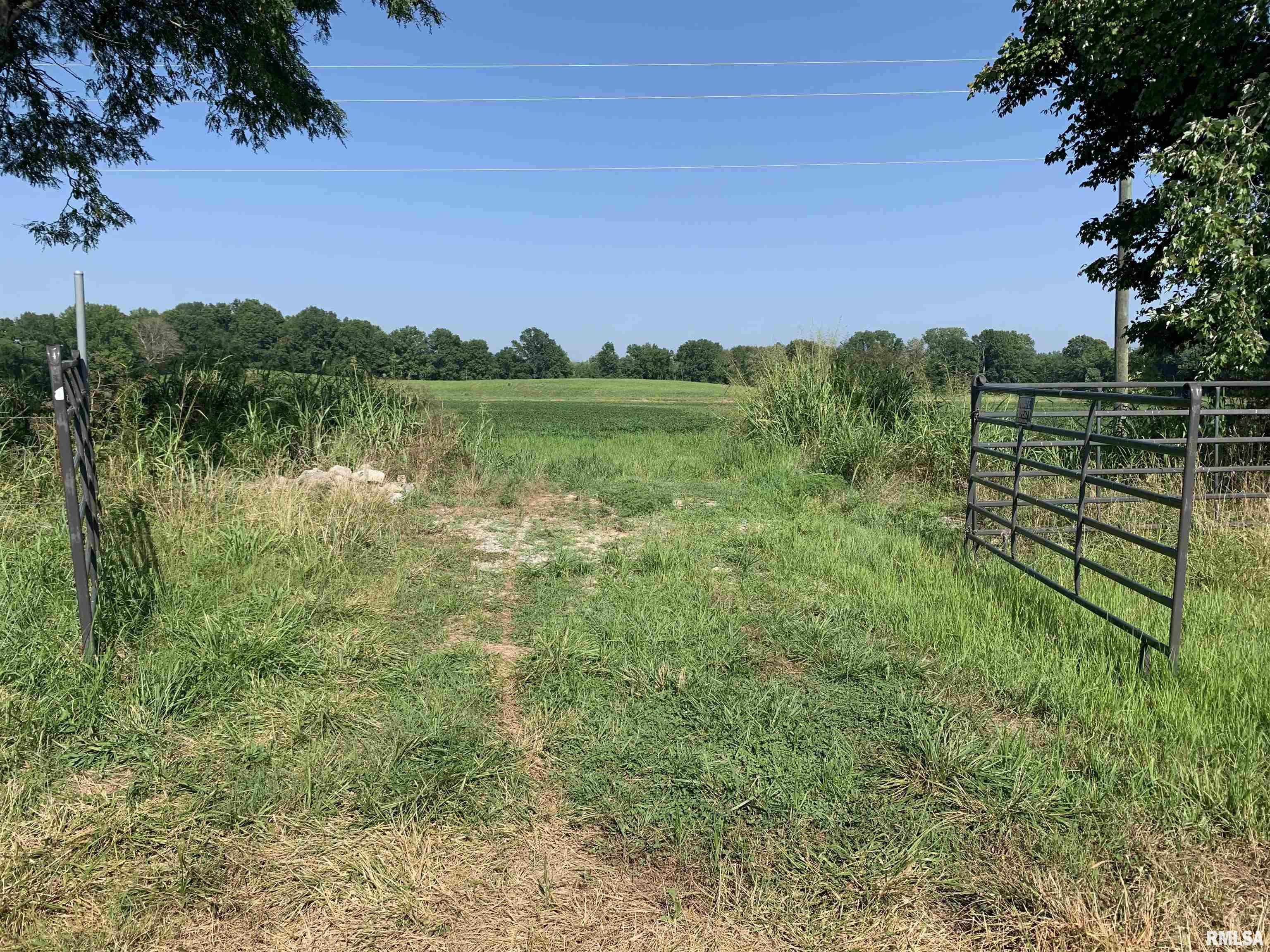 0 Old Bloomfield Road Vienna, IL 62995 - Photo 13 of 51