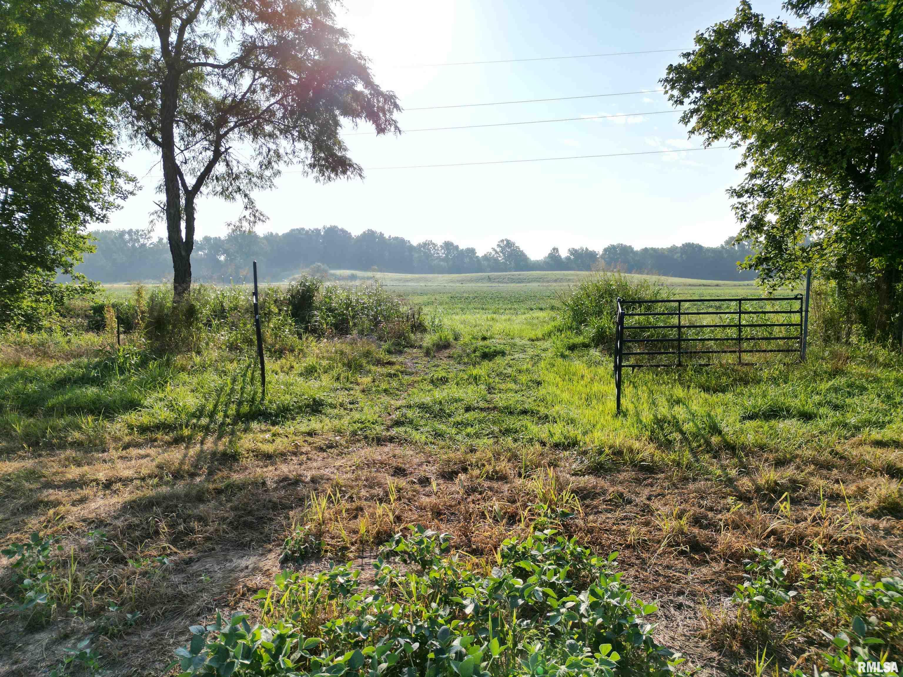 0 Old Bloomfield Road Vienna, IL 62995 - Photo 16 of 51