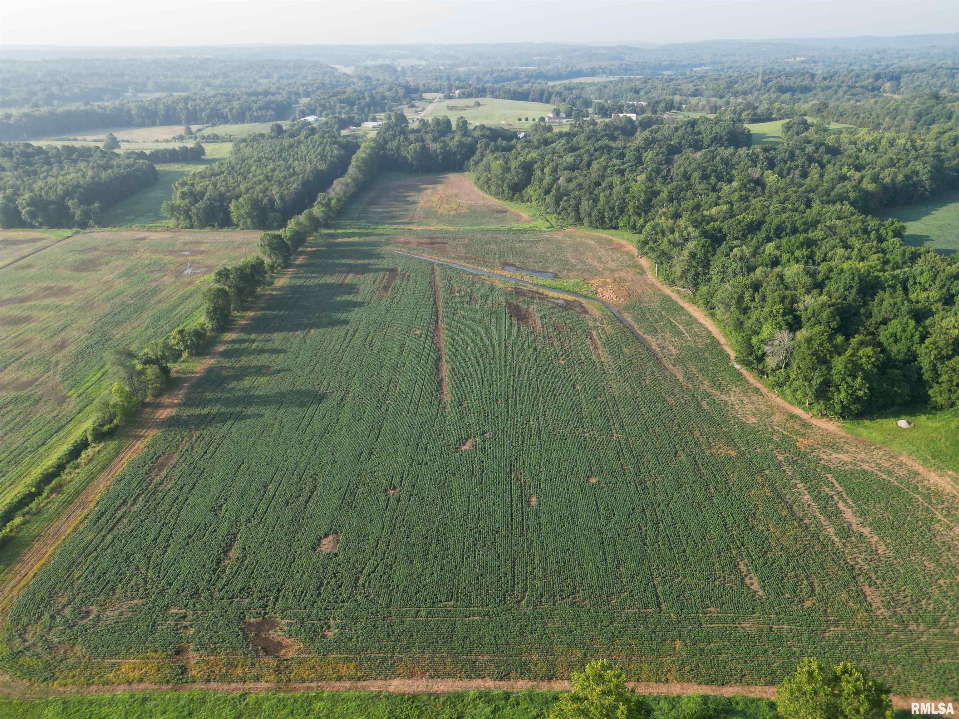 0 Old Bloomfield Road Vienna, IL 62995 - Photo 17 of 51