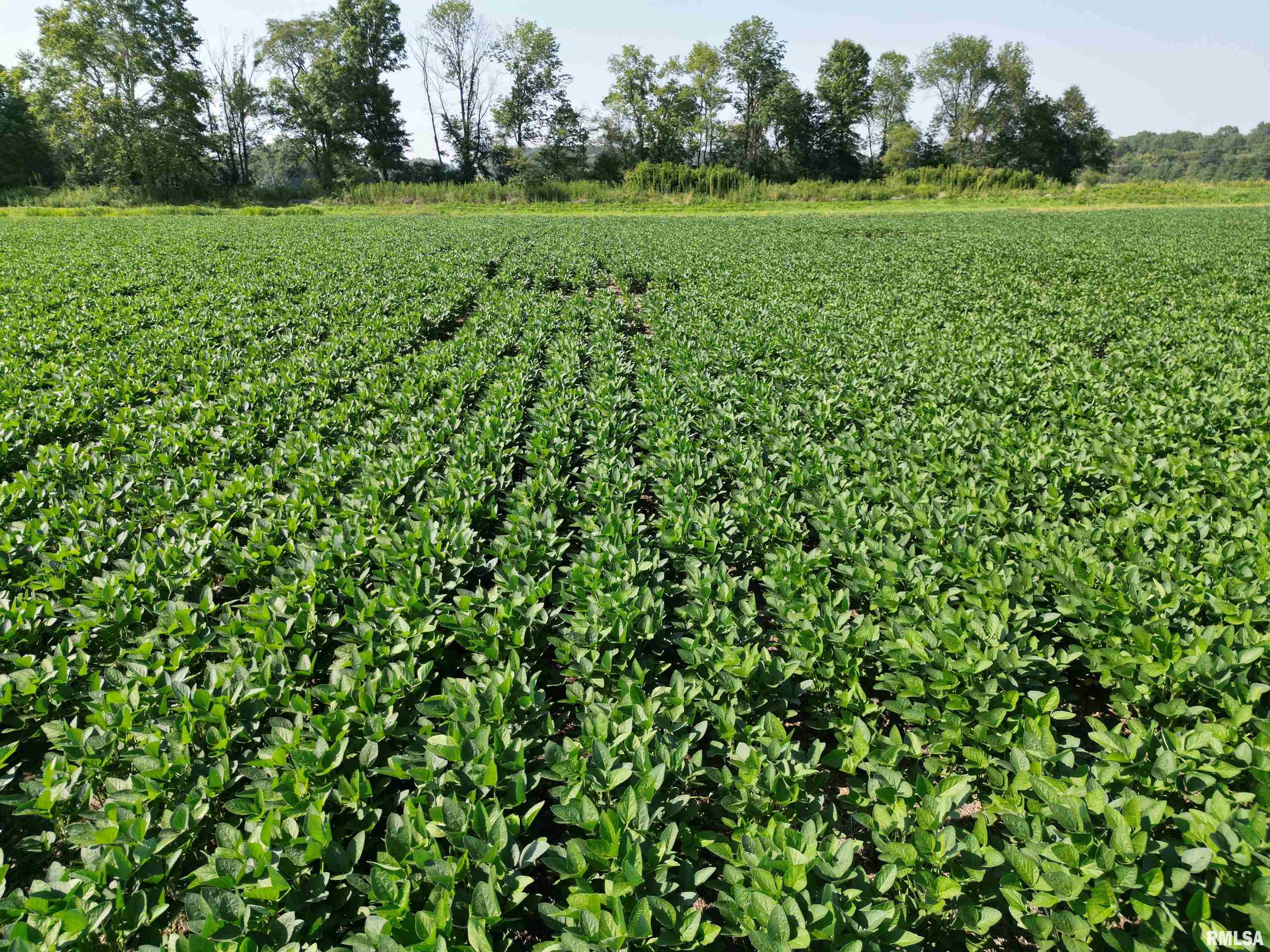 0 Old Bloomfield Road Vienna, IL 62995 - Photo 18 of 51