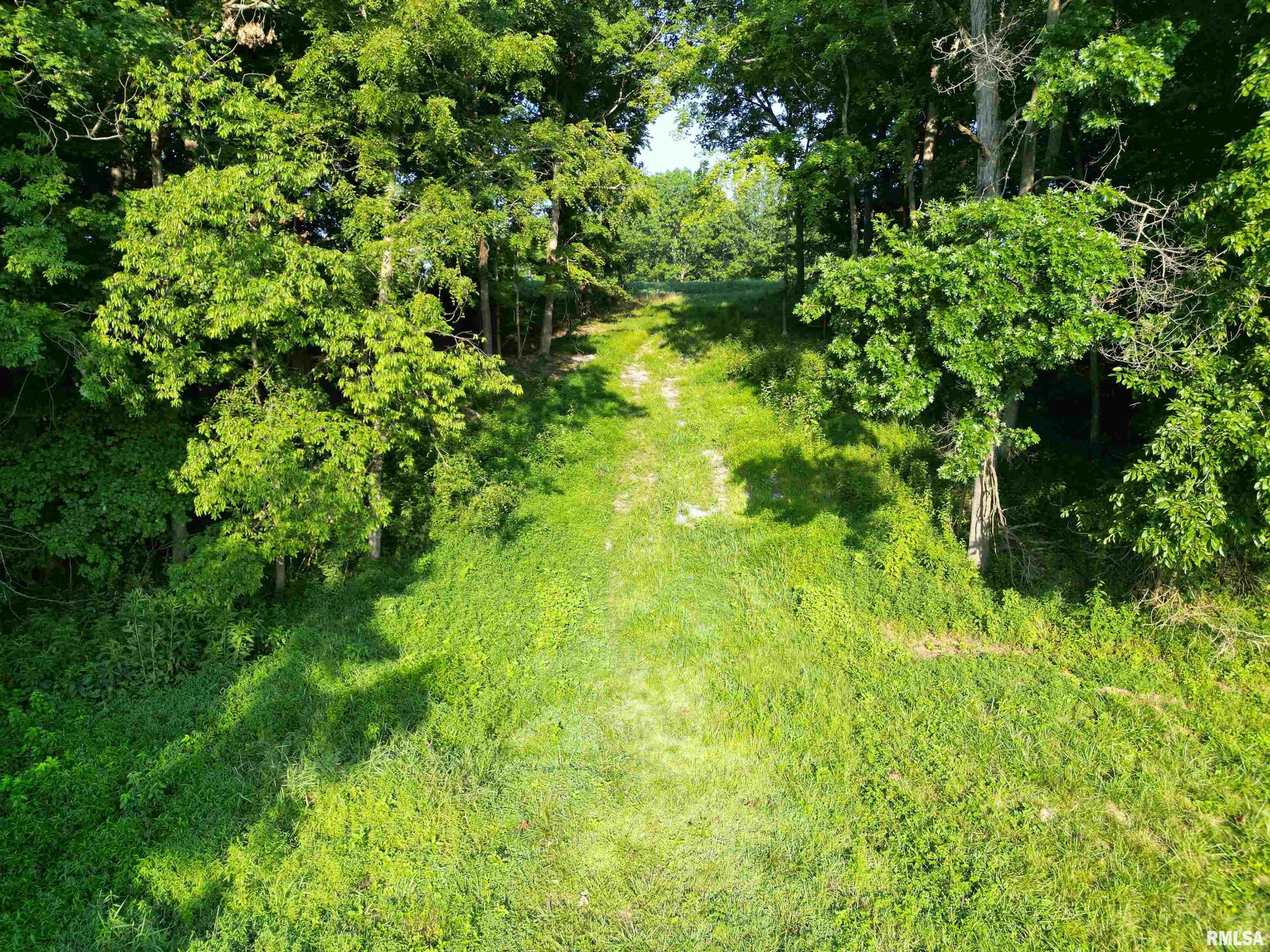0 Old Bloomfield Road Vienna, IL 62995 - Photo 20 of 51