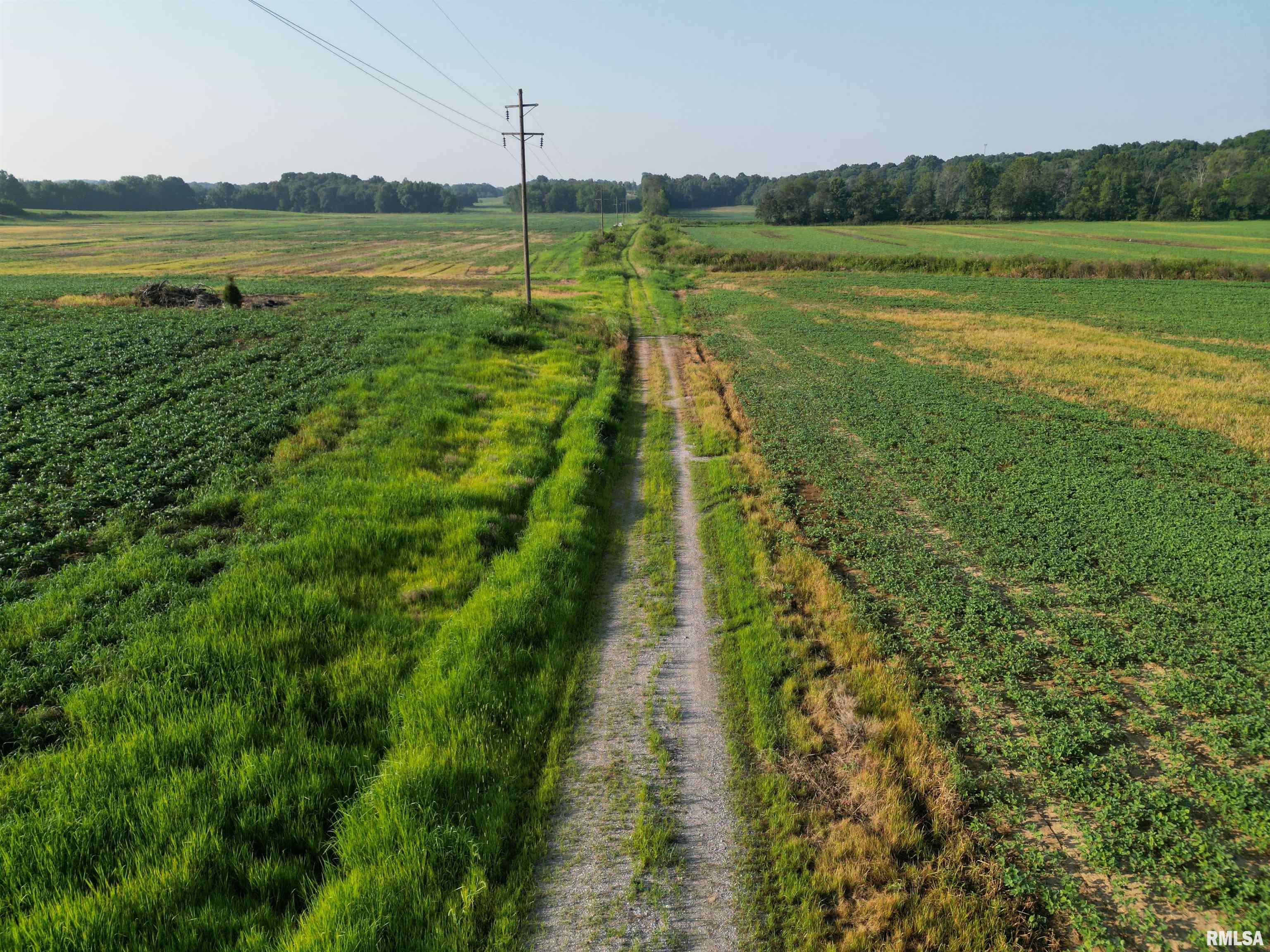 0 Old Bloomfield Road Vienna, IL 62995 - Photo 2 of 51