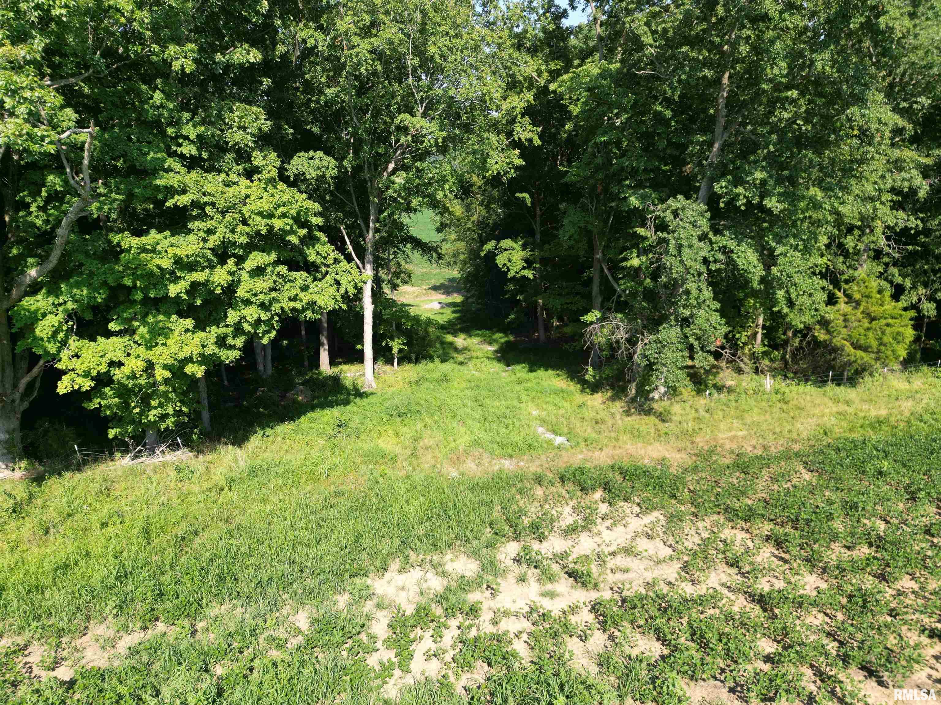 0 Old Bloomfield Road Vienna, IL 62995 - Photo 22 of 51