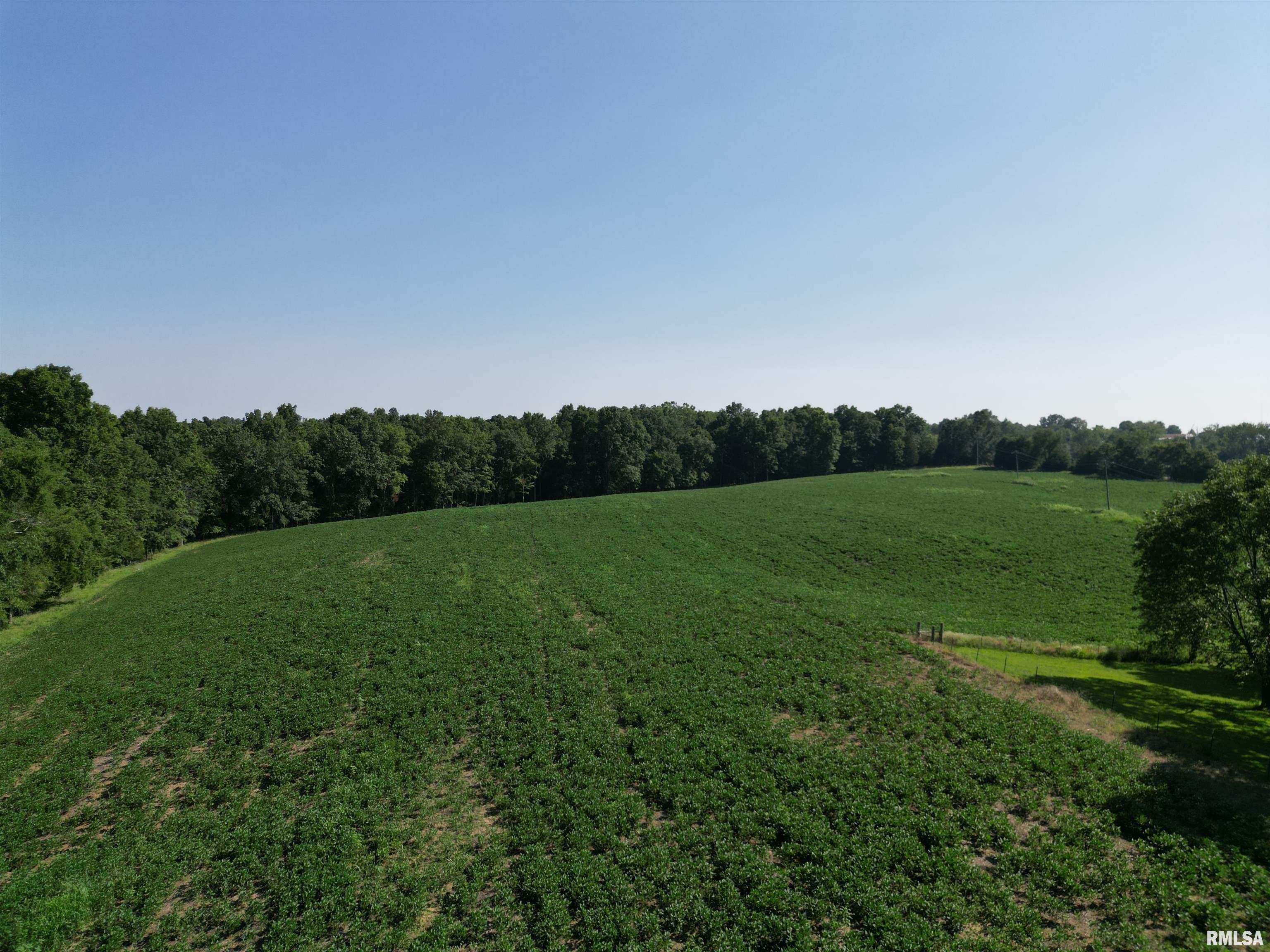 0 Old Bloomfield Road Vienna, IL 62995 - Photo 24 of 51