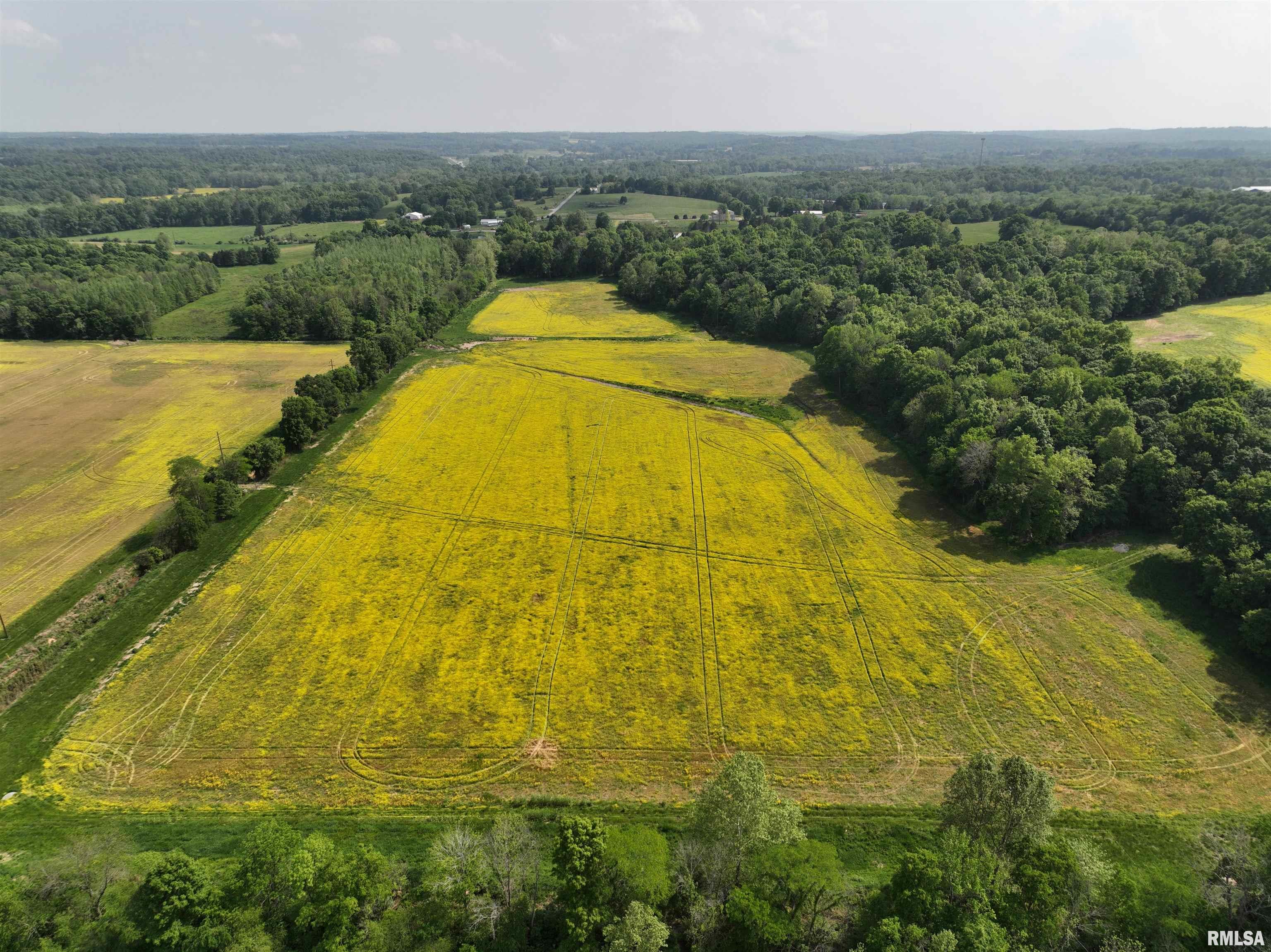 0 Old Bloomfield Road Vienna, IL 62995 - Photo 27 of 51