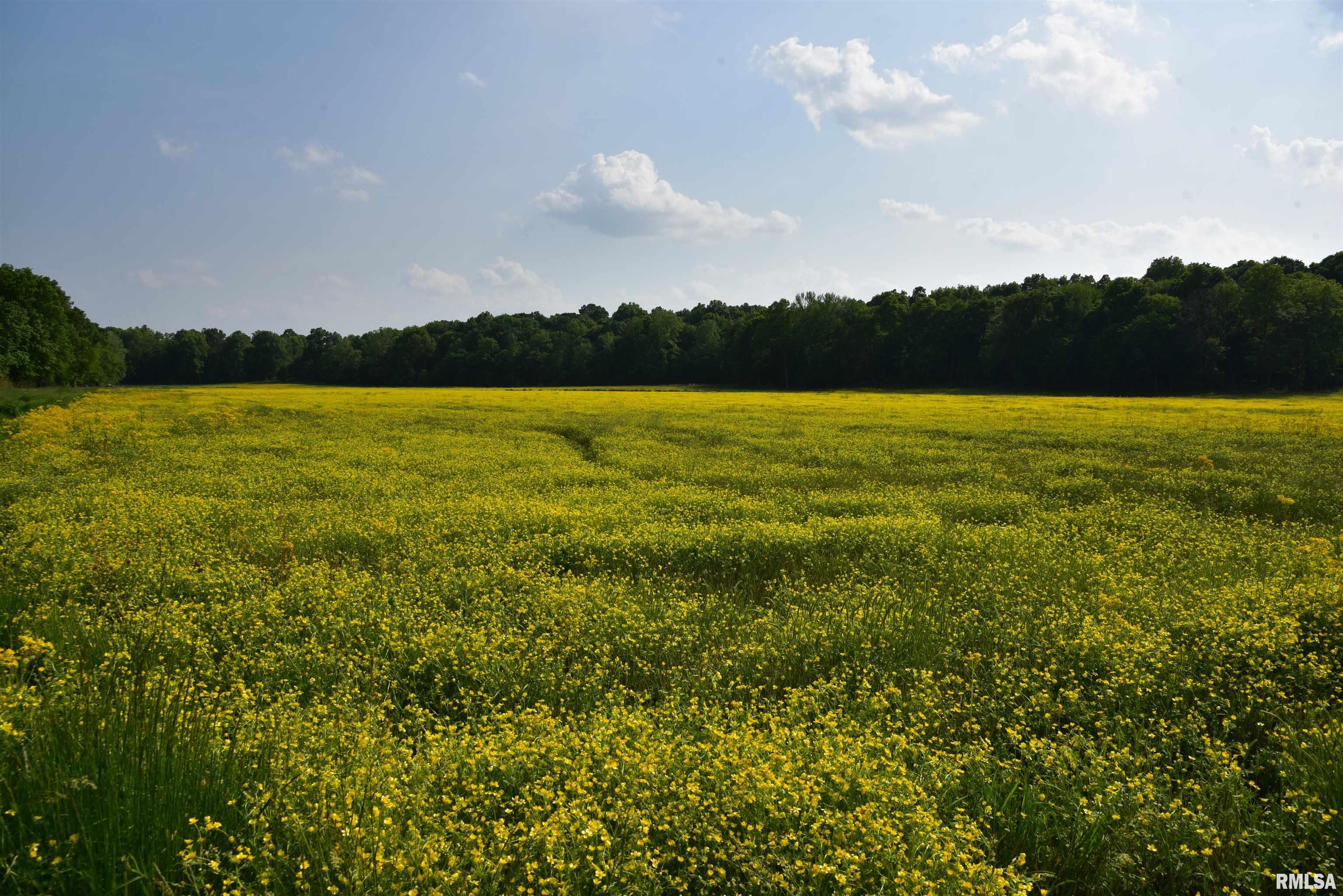 0 Old Bloomfield Road Vienna, IL 62995 - Photo 28 of 51