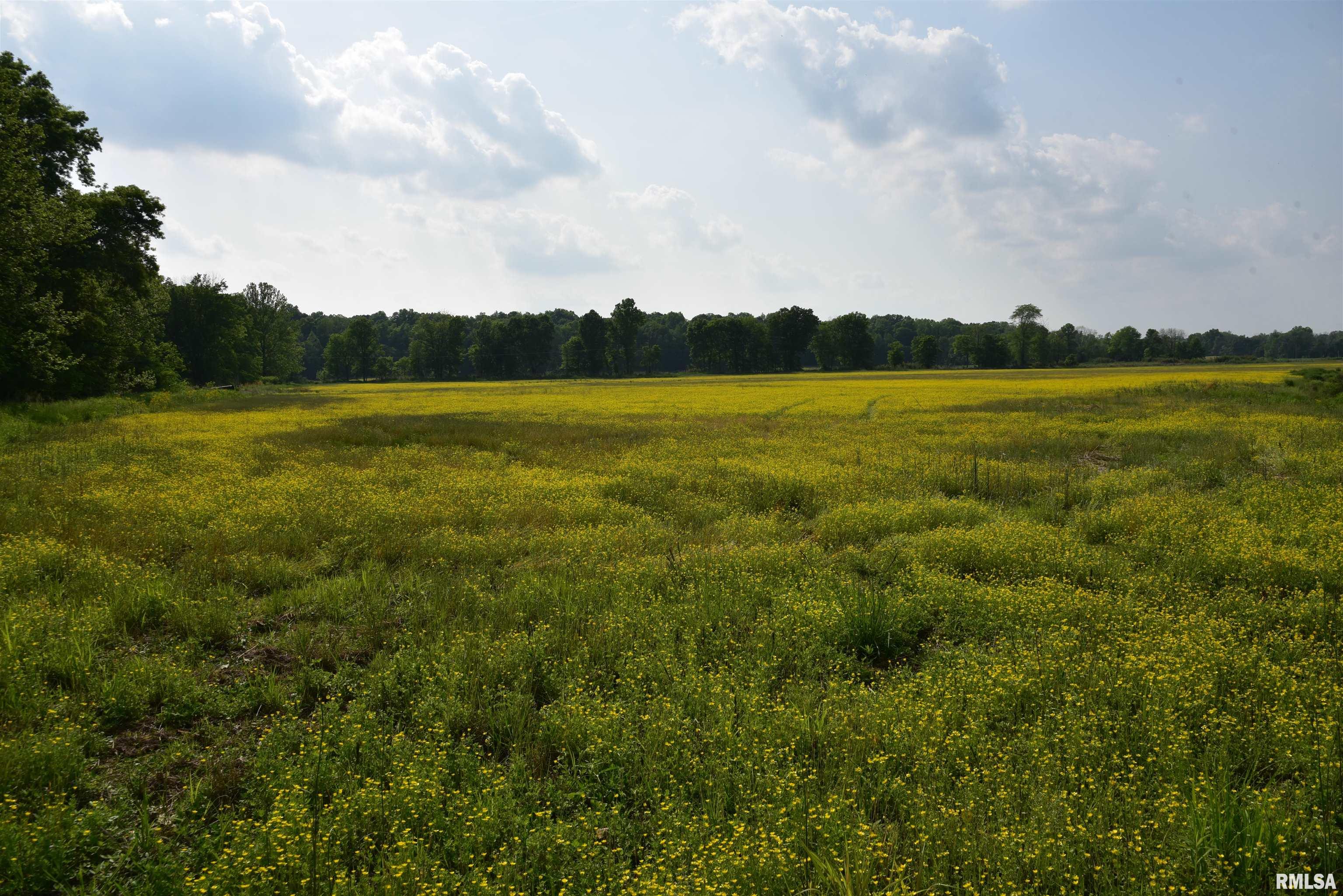 0 Old Bloomfield Road Vienna, IL 62995 - Photo 29 of 51