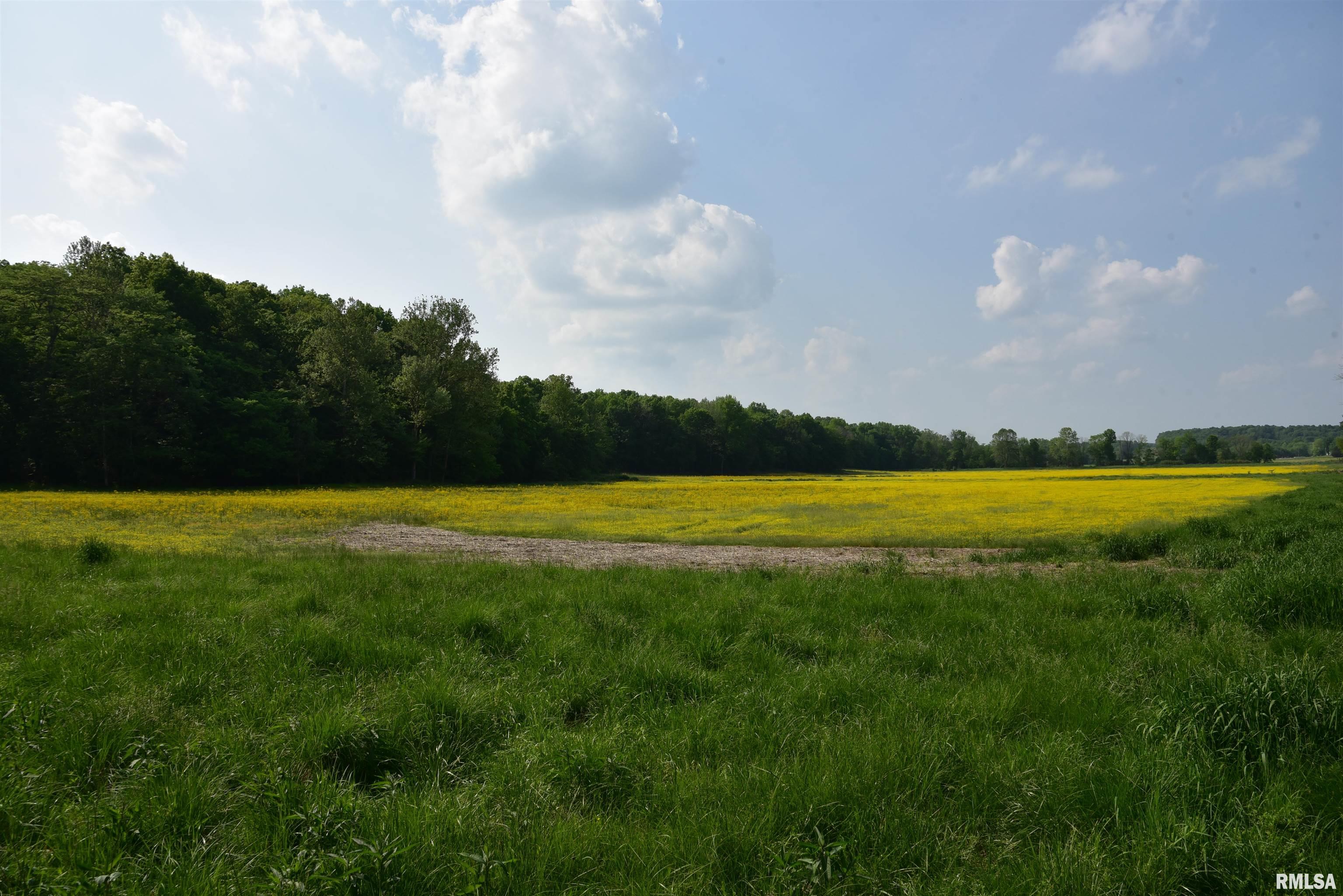 0 Old Bloomfield Road Vienna, IL 62995 - Photo 30 of 51