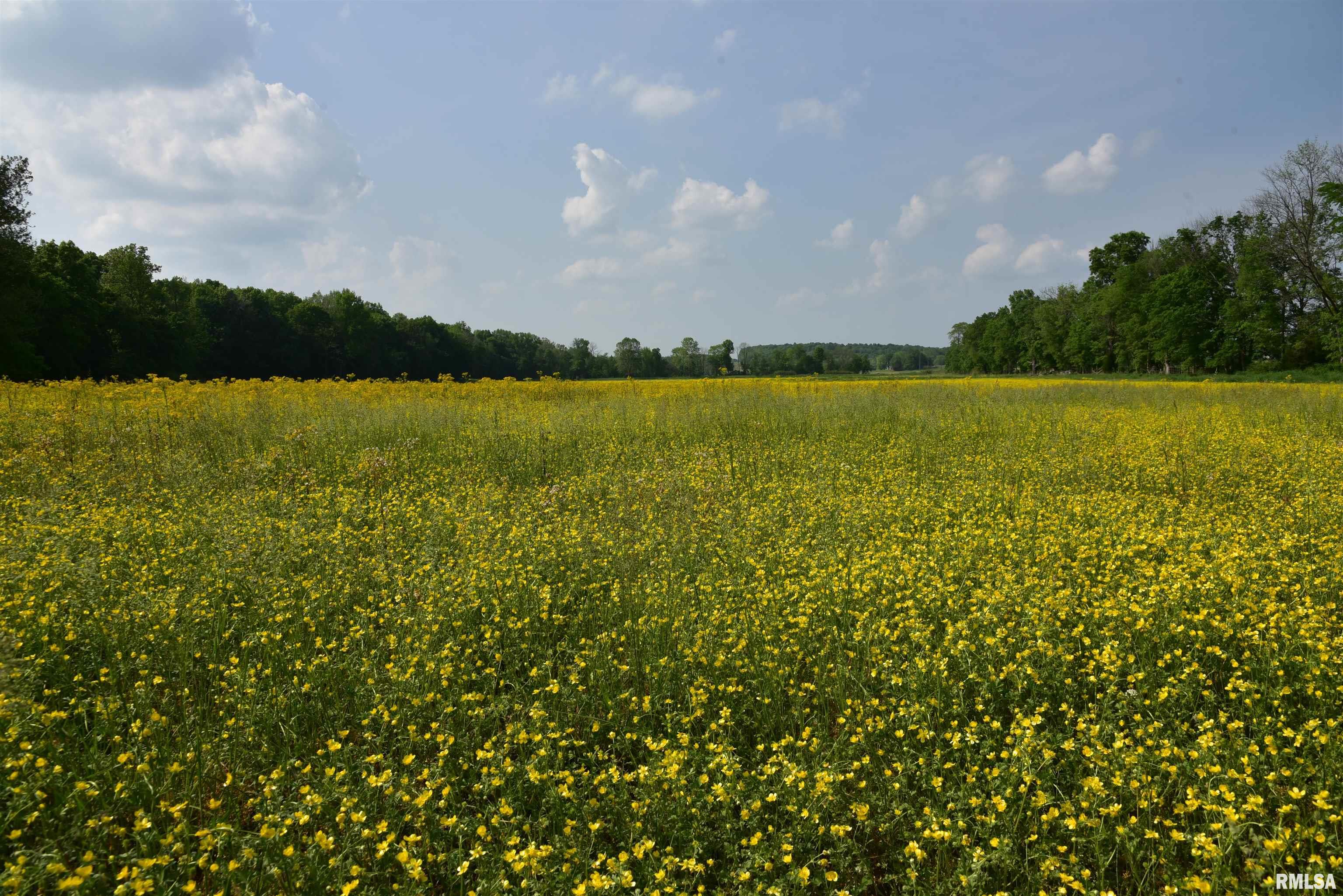 0 Old Bloomfield Road Vienna, IL 62995 - Photo 31 of 51