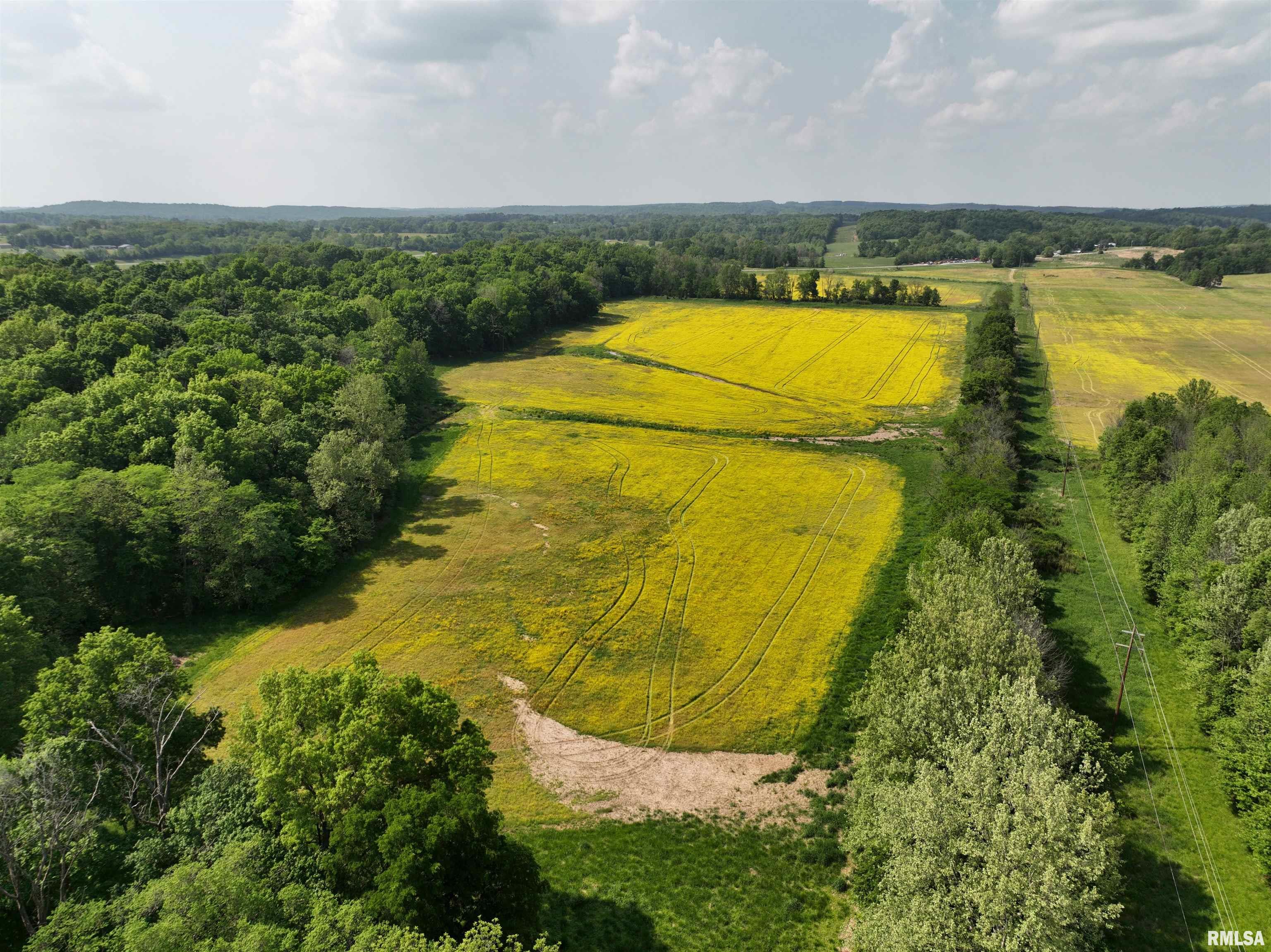 0 Old Bloomfield Road Vienna, IL 62995 - Photo 32 of 51
