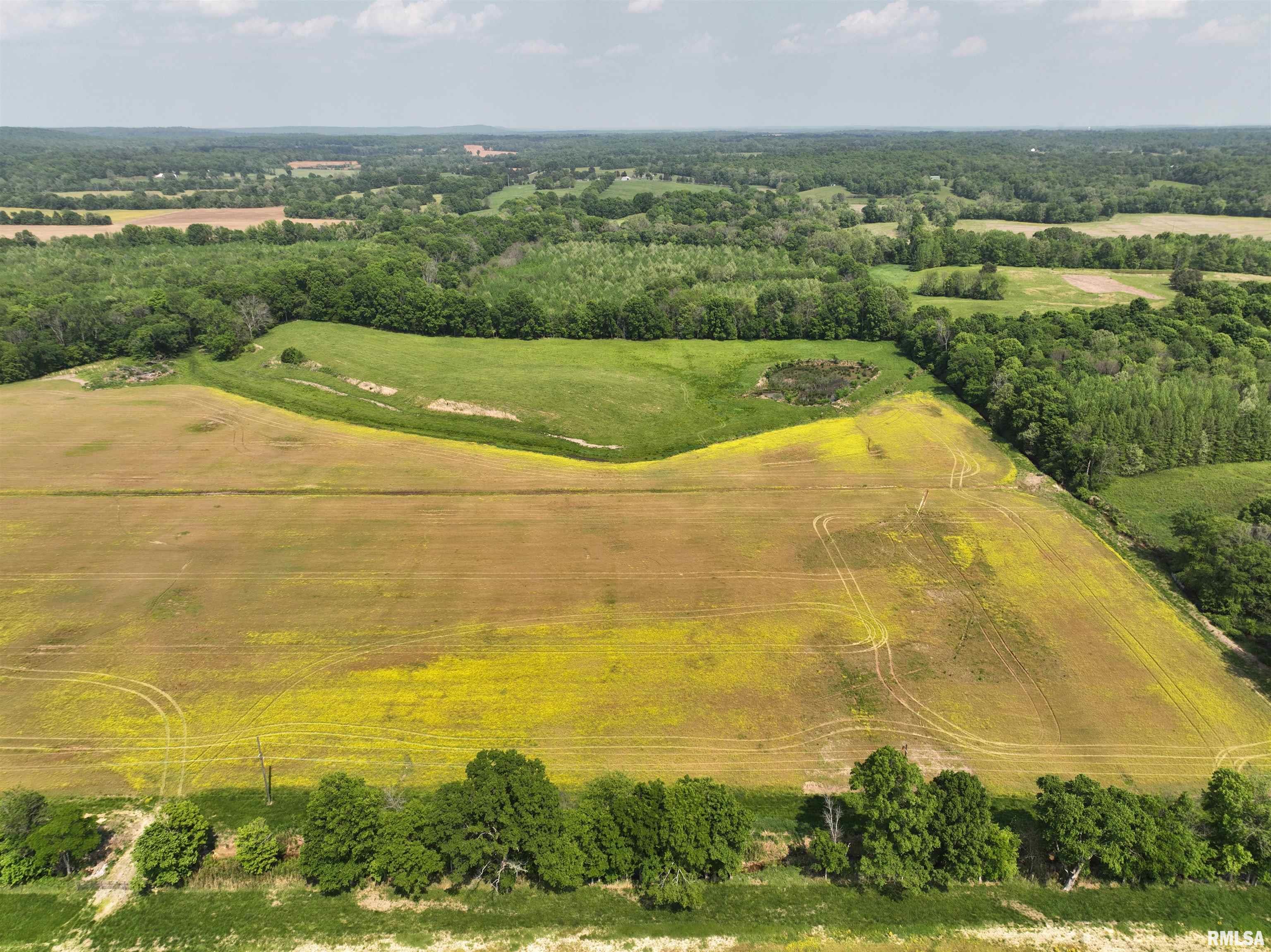 0 Old Bloomfield Road Vienna, IL 62995 - Photo 33 of 51