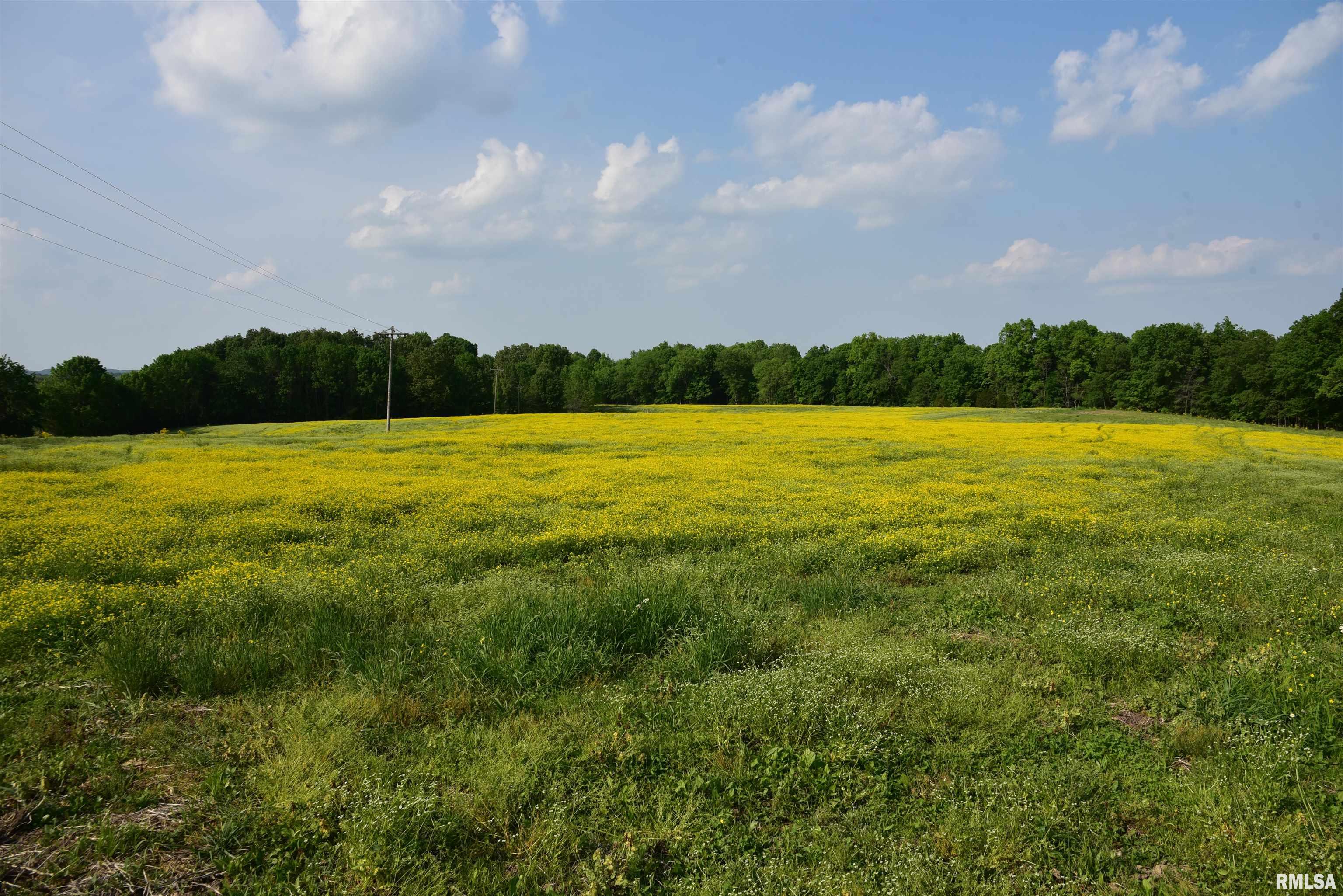 0 Old Bloomfield Road Vienna, IL 62995 - Photo 35 of 51