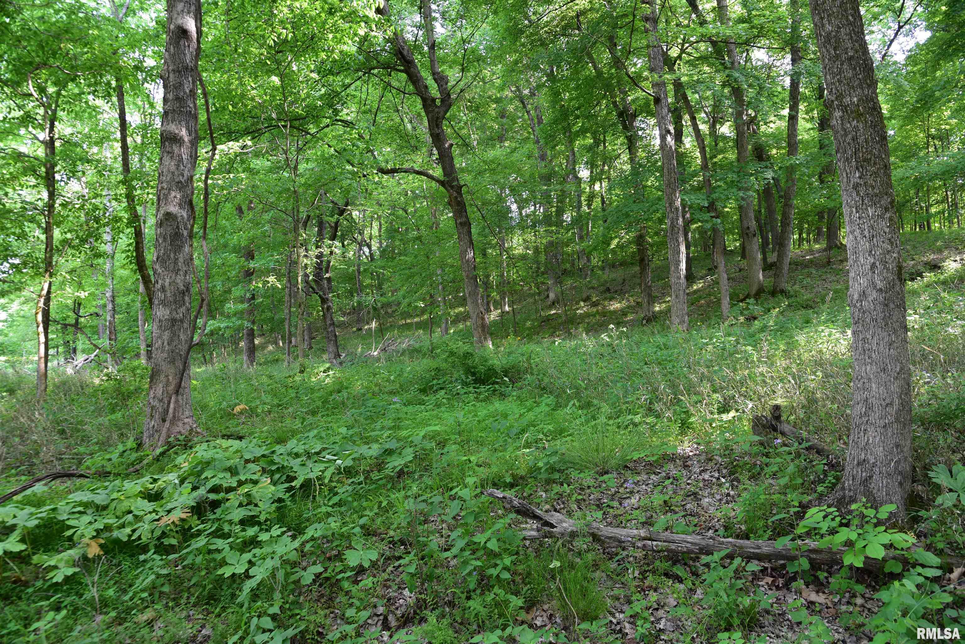 0 Old Bloomfield Road Vienna, IL 62995 - Photo 36 of 51