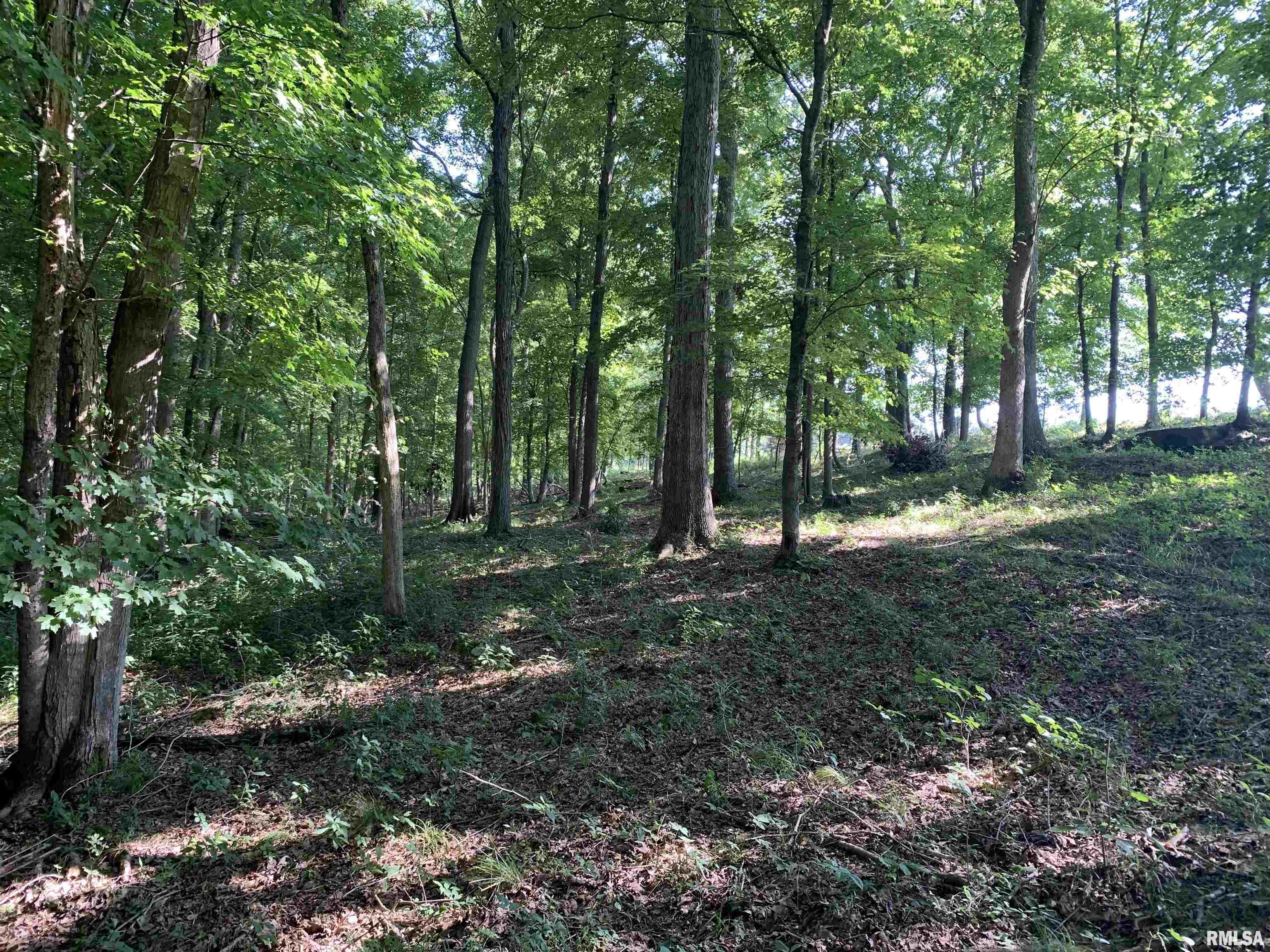 0 Old Bloomfield Road Vienna, IL 62995 - Photo 37 of 51