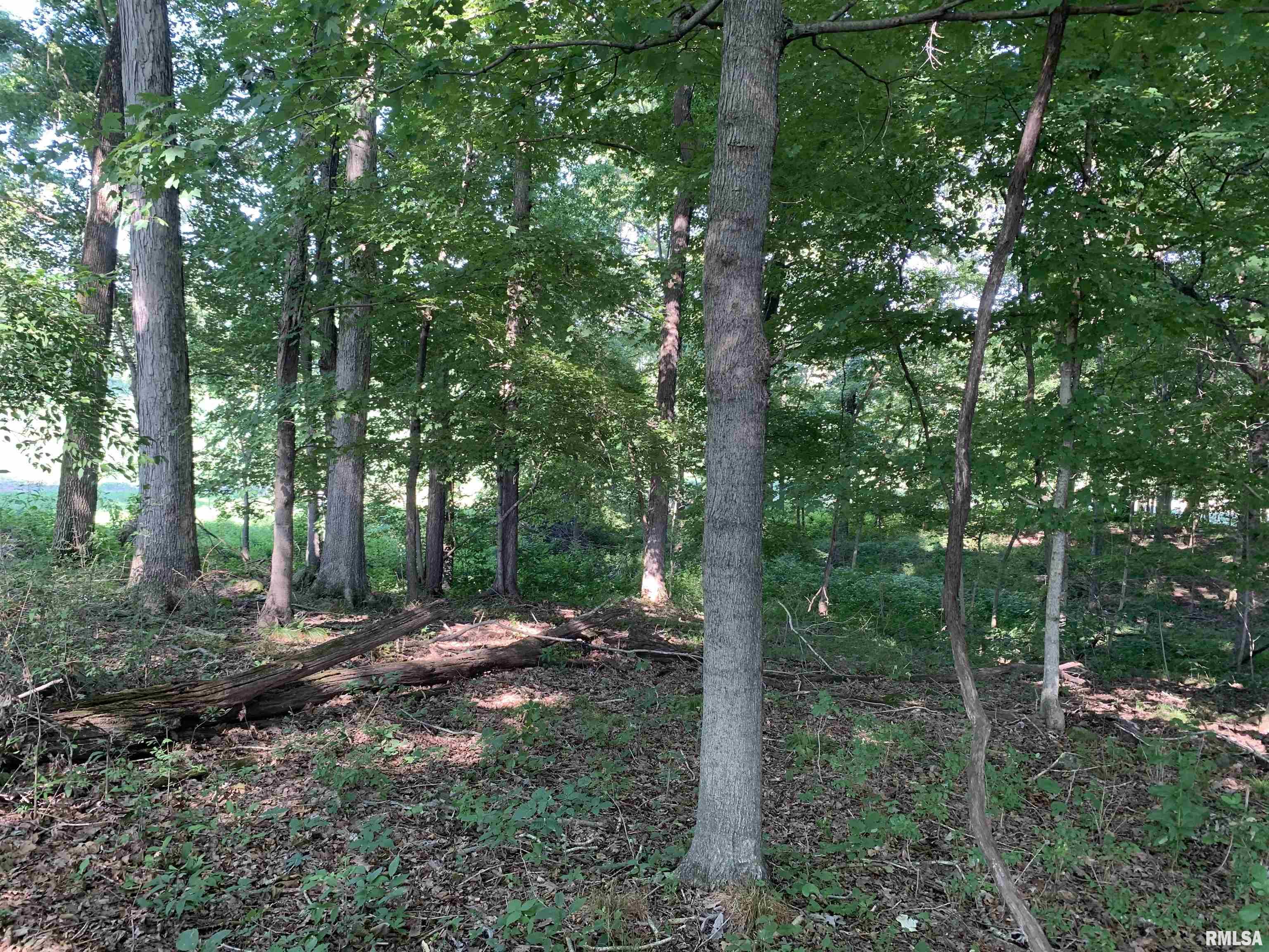 0 Old Bloomfield Road Vienna, IL 62995 - Photo 38 of 51