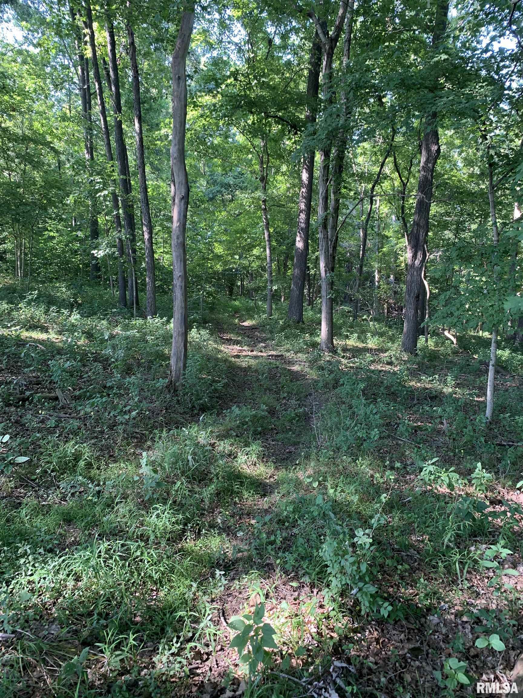 0 Old Bloomfield Road Vienna, IL 62995 - Photo 39 of 51