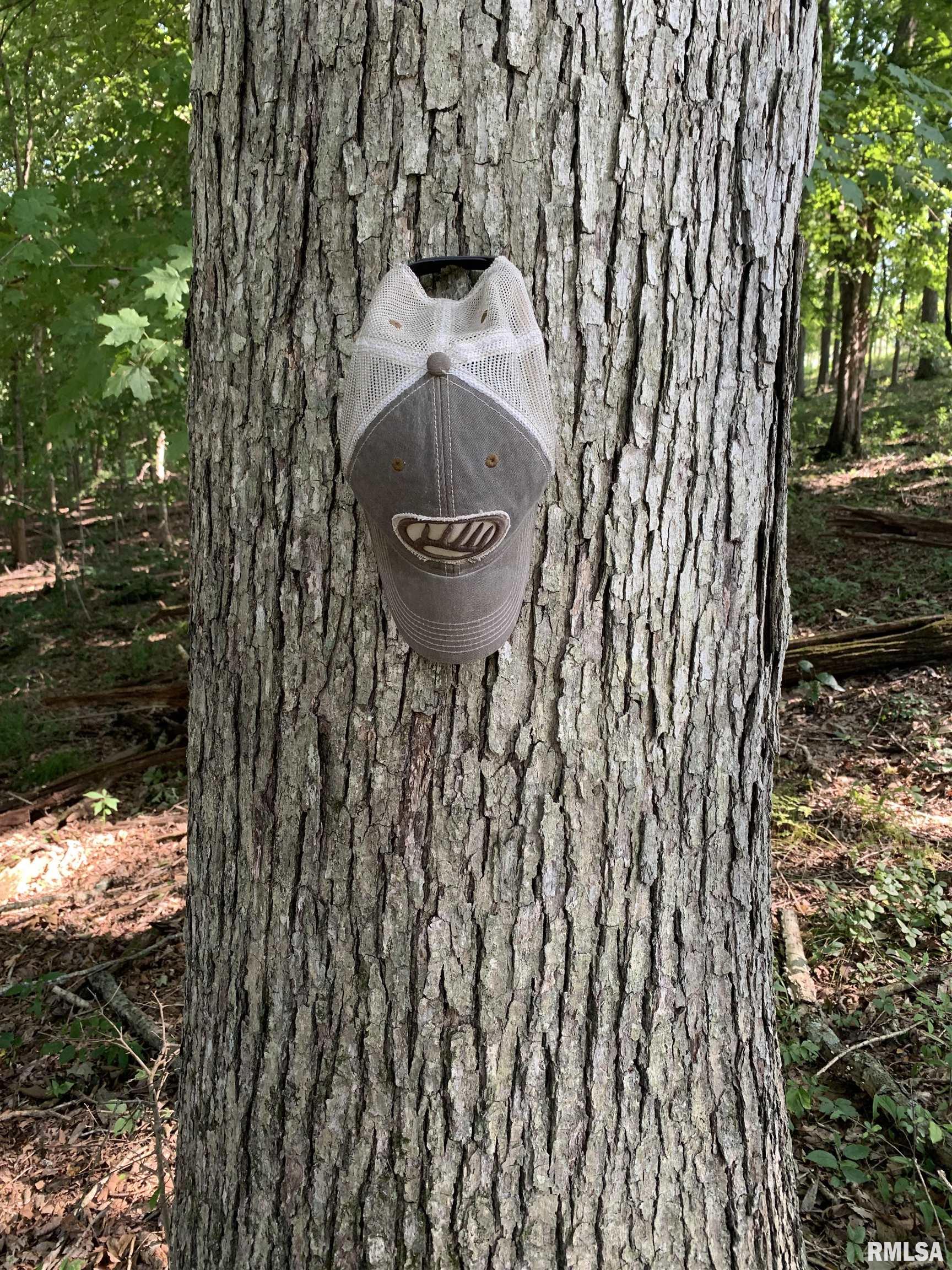 0 Old Bloomfield Road Vienna, IL 62995 - Photo 40 of 51