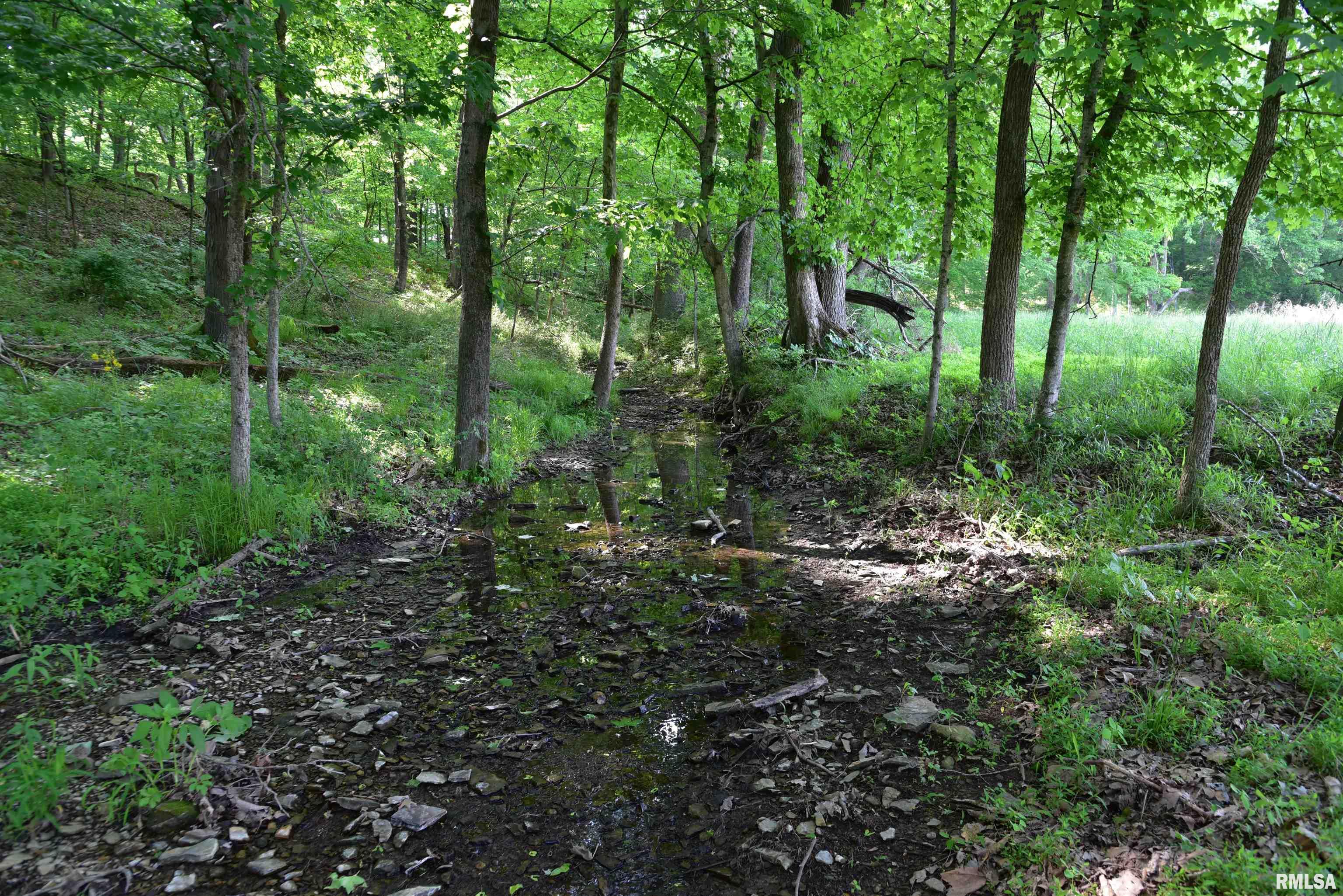 0 Old Bloomfield Road Vienna, IL 62995 - Photo 41 of 51