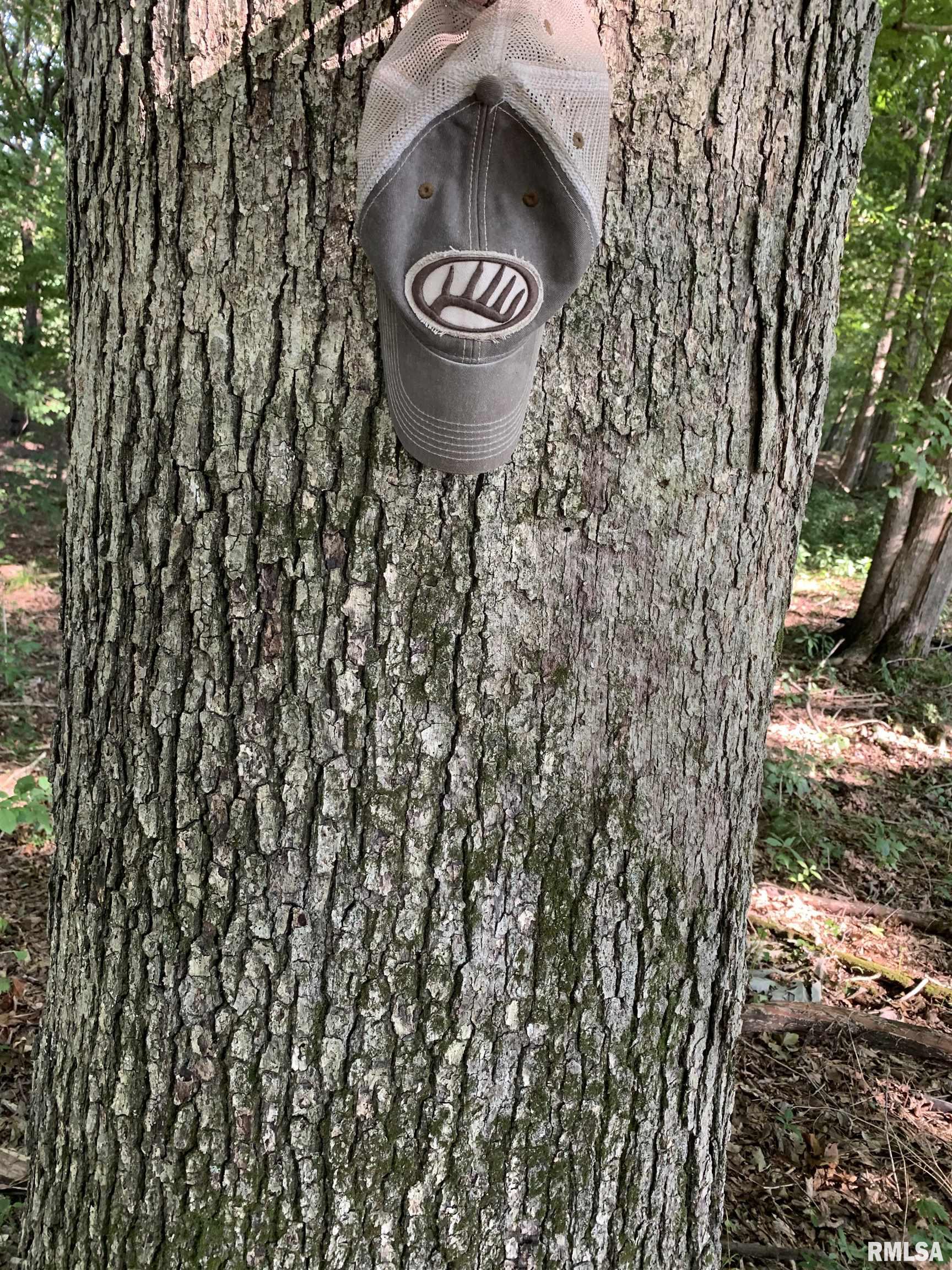 0 Old Bloomfield Road Vienna, IL 62995 - Photo 42 of 51