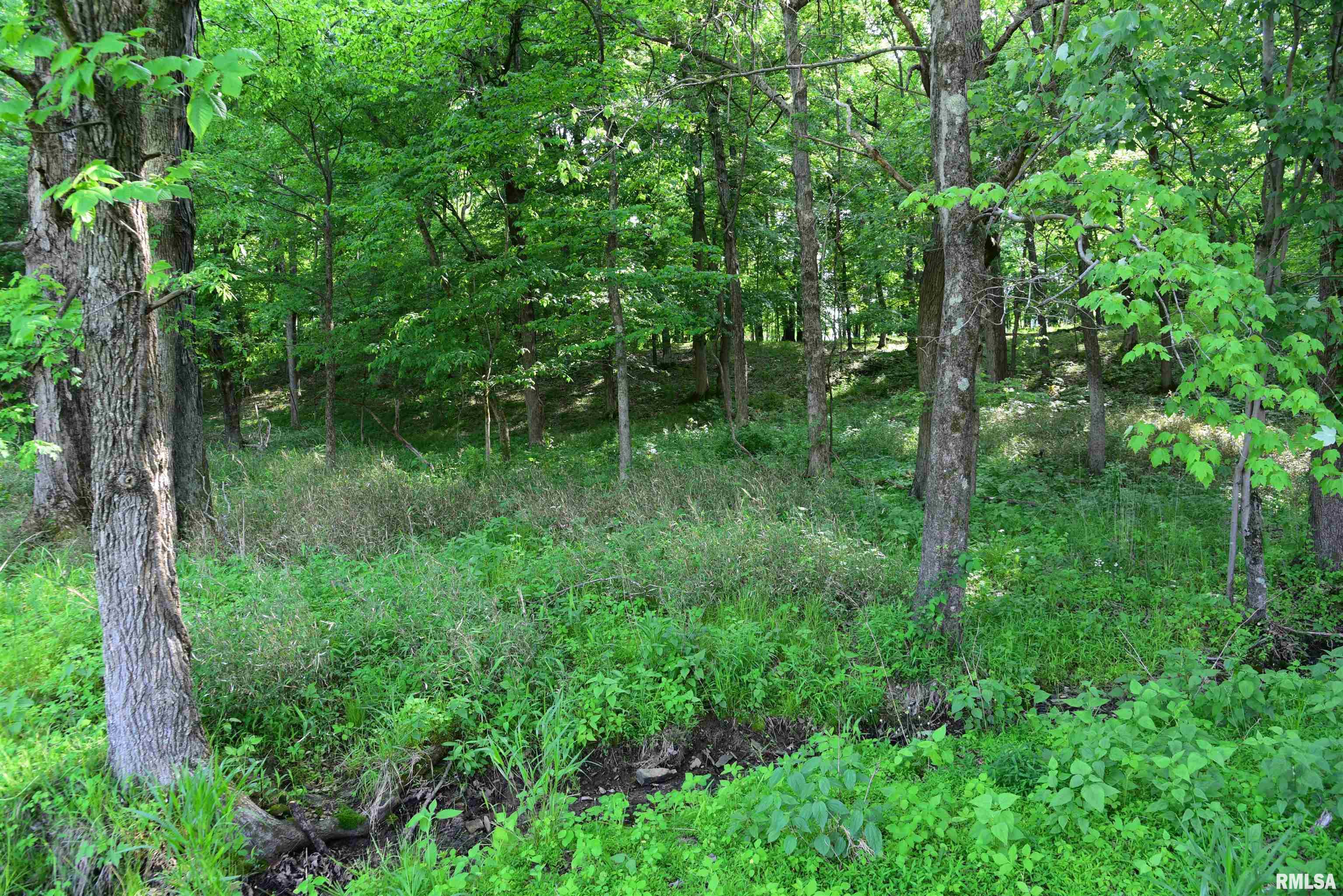 0 Old Bloomfield Road Vienna, IL 62995 - Photo 43 of 51