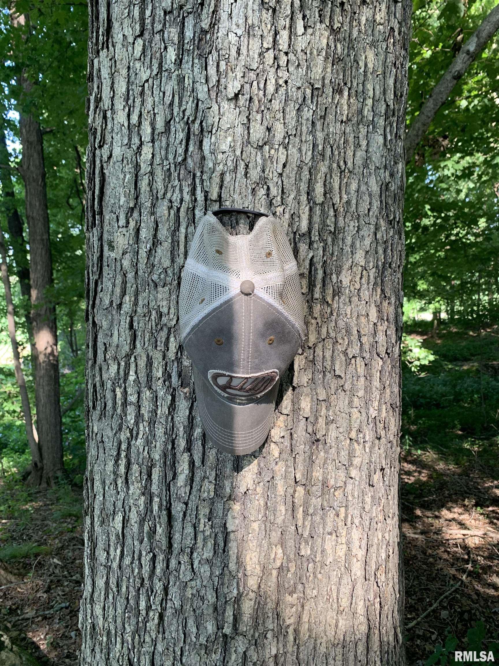 0 Old Bloomfield Road Vienna, IL 62995 - Photo 44 of 51