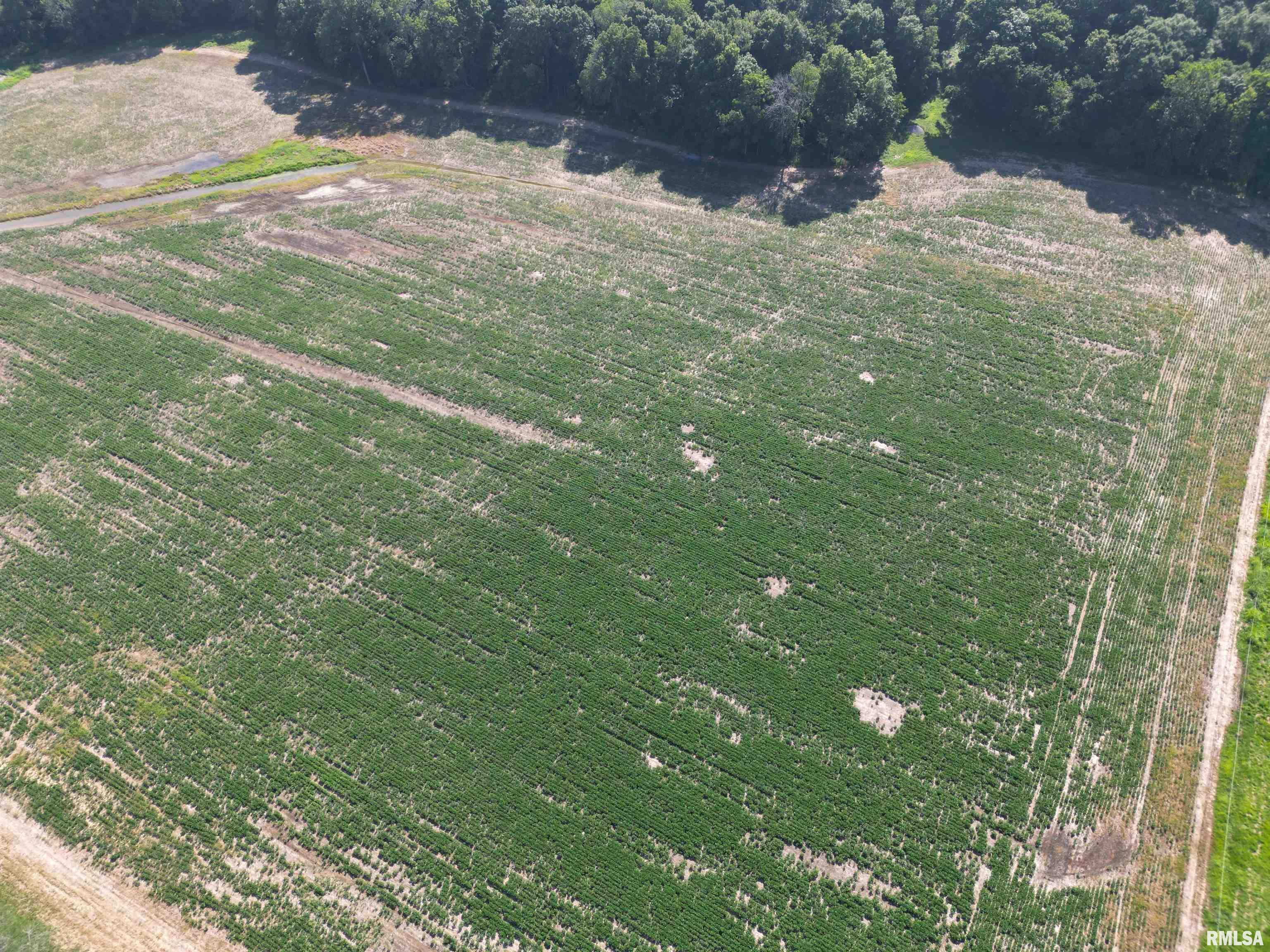 0 Old Bloomfield Road Vienna, IL 62995 - Photo 45 of 51