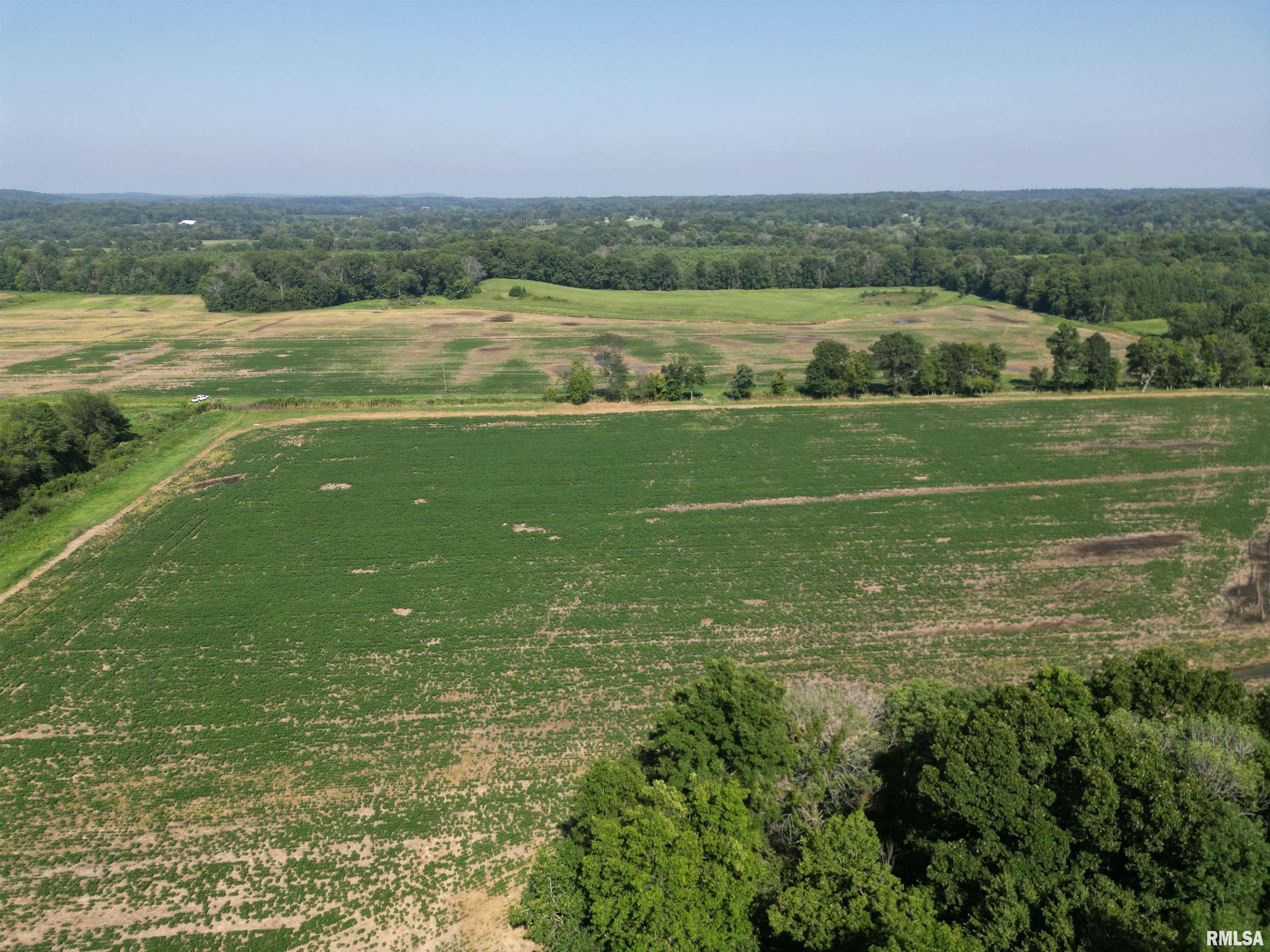 0 Old Bloomfield Road Vienna, IL 62995 - Photo 47 of 51